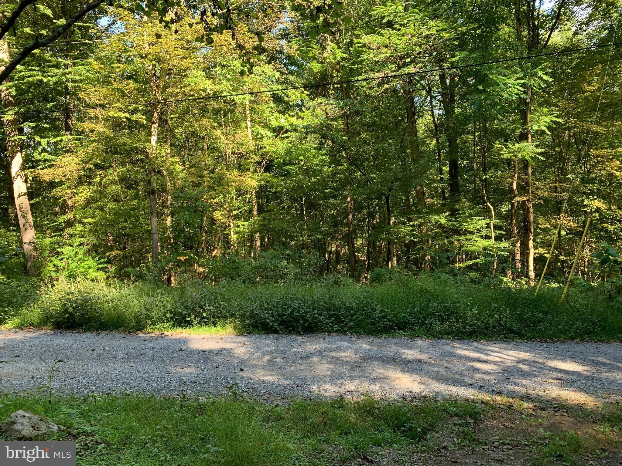 Great Cacapon, County, WV Undeveloped Land, Homesites for sale Property ID 411709156