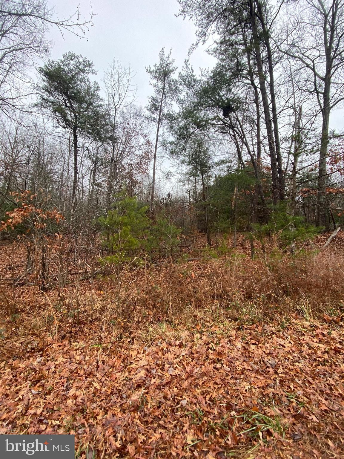 Newburg, Charles County, MD Undeveloped Land, Homesites for sale