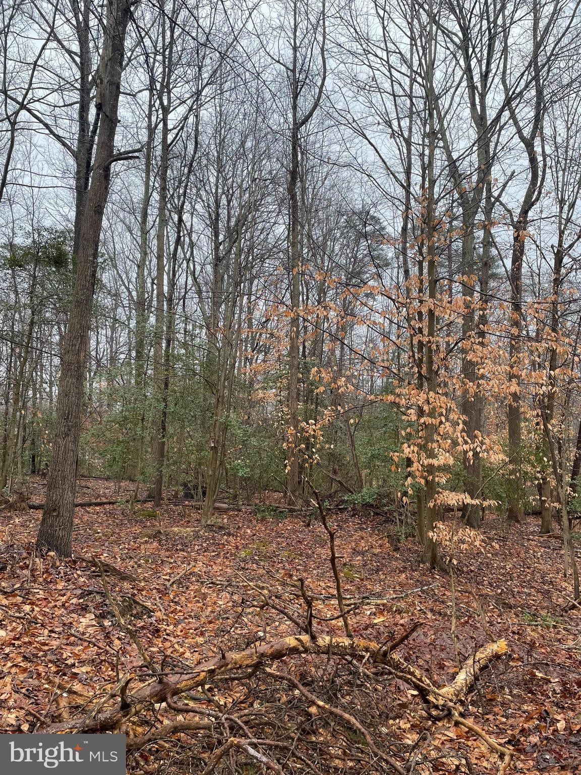 Prince Frederick, Calvert County, MD Undeveloped Land, Homesites for