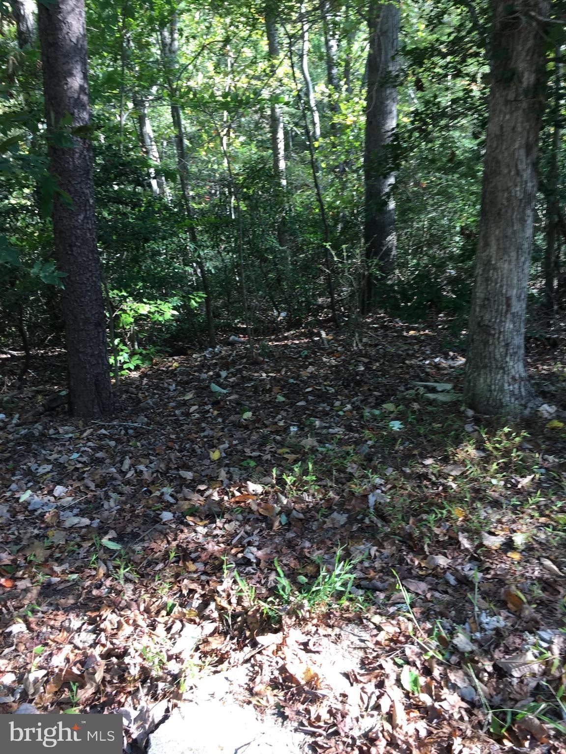 Beltsville, Prince County, MD Undeveloped Land, Homesites for