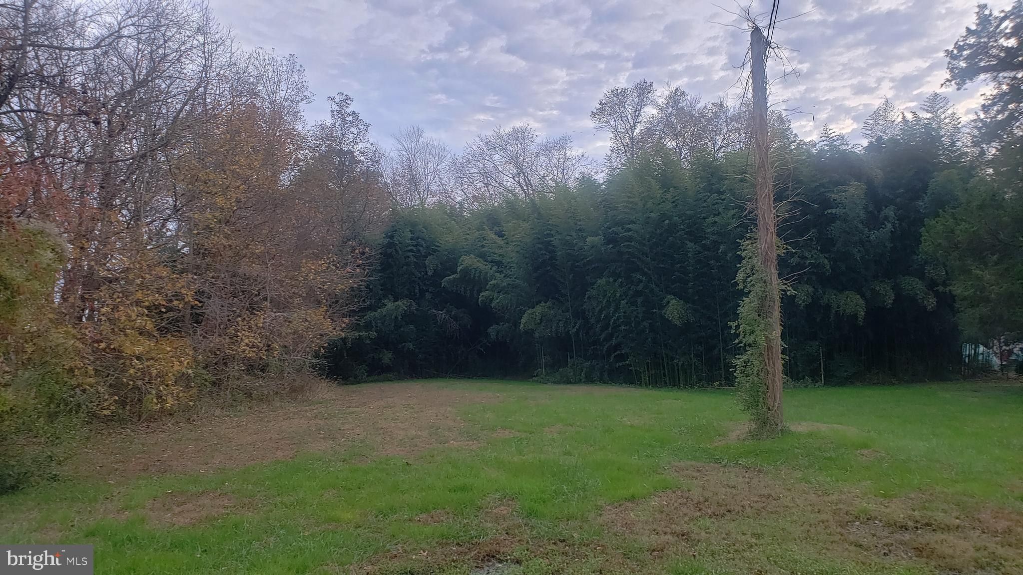 Selbyville, Sussex County, DE Undeveloped Land for sale Property ID
