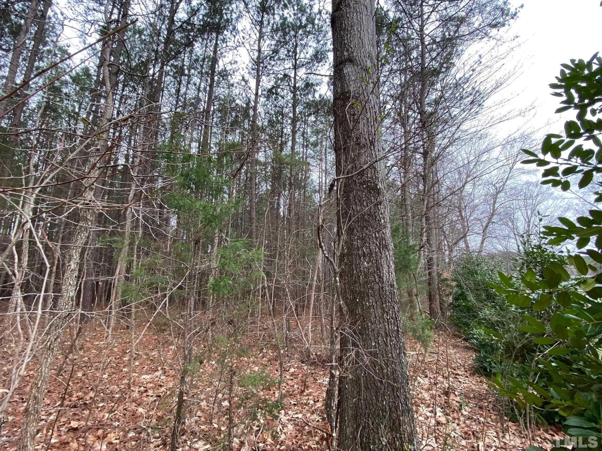 Littleton, Warren County, NC Undeveloped Land, Lakefront Property, Waterfront Property for sale