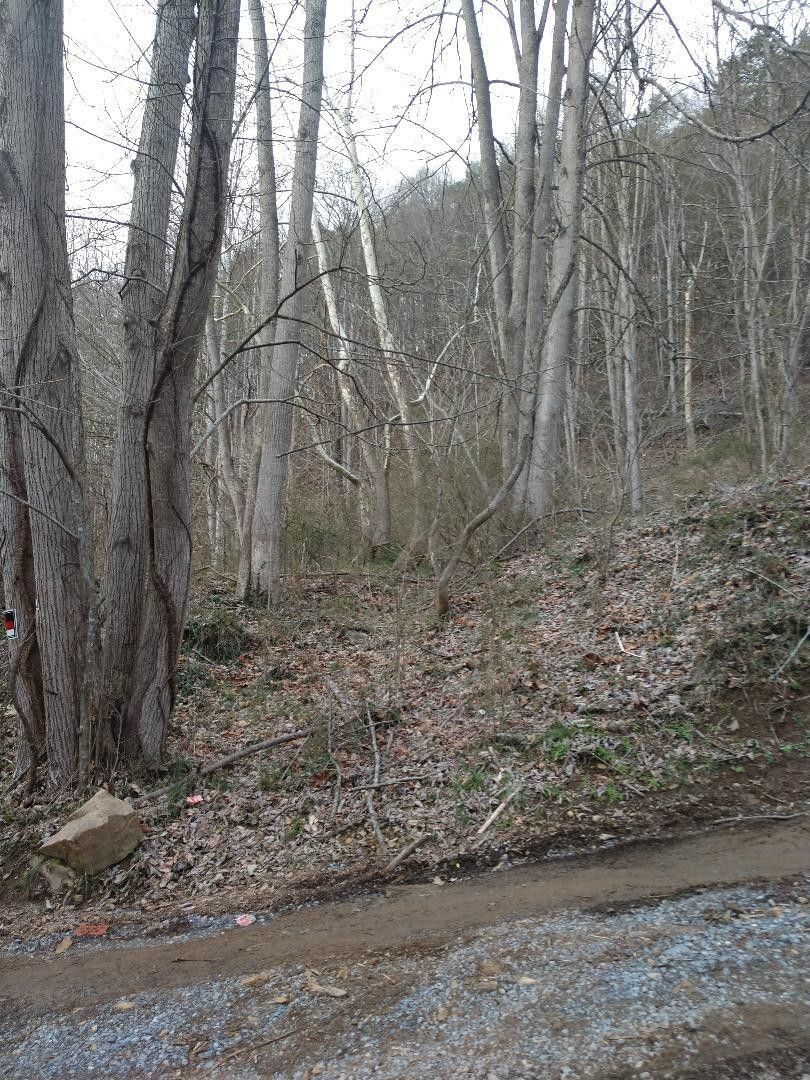 Hampton, Carter County, TN Undeveloped Land for sale Property ID