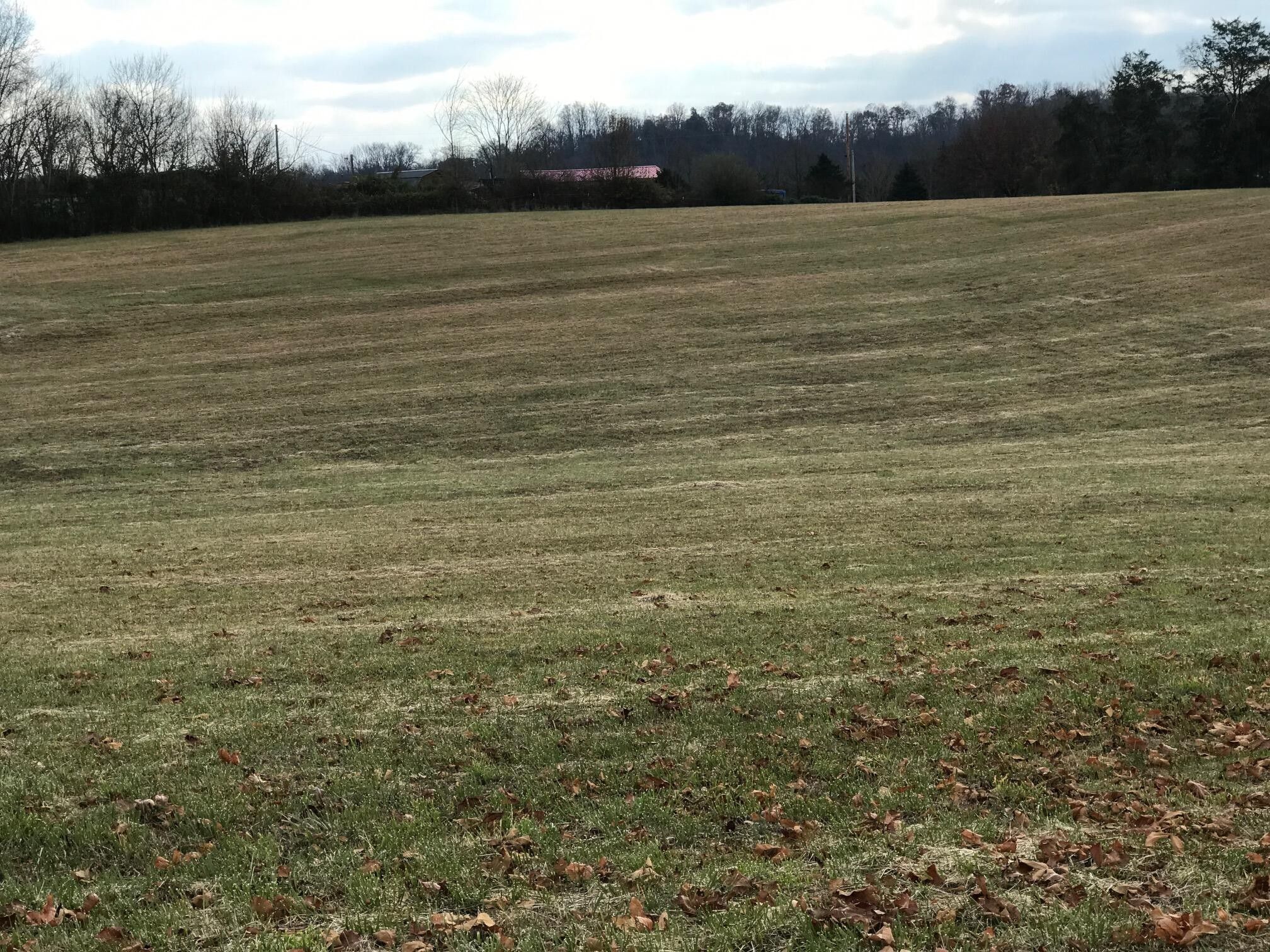 Greeneville, Greene County, TN Undeveloped Land for sale Property ID