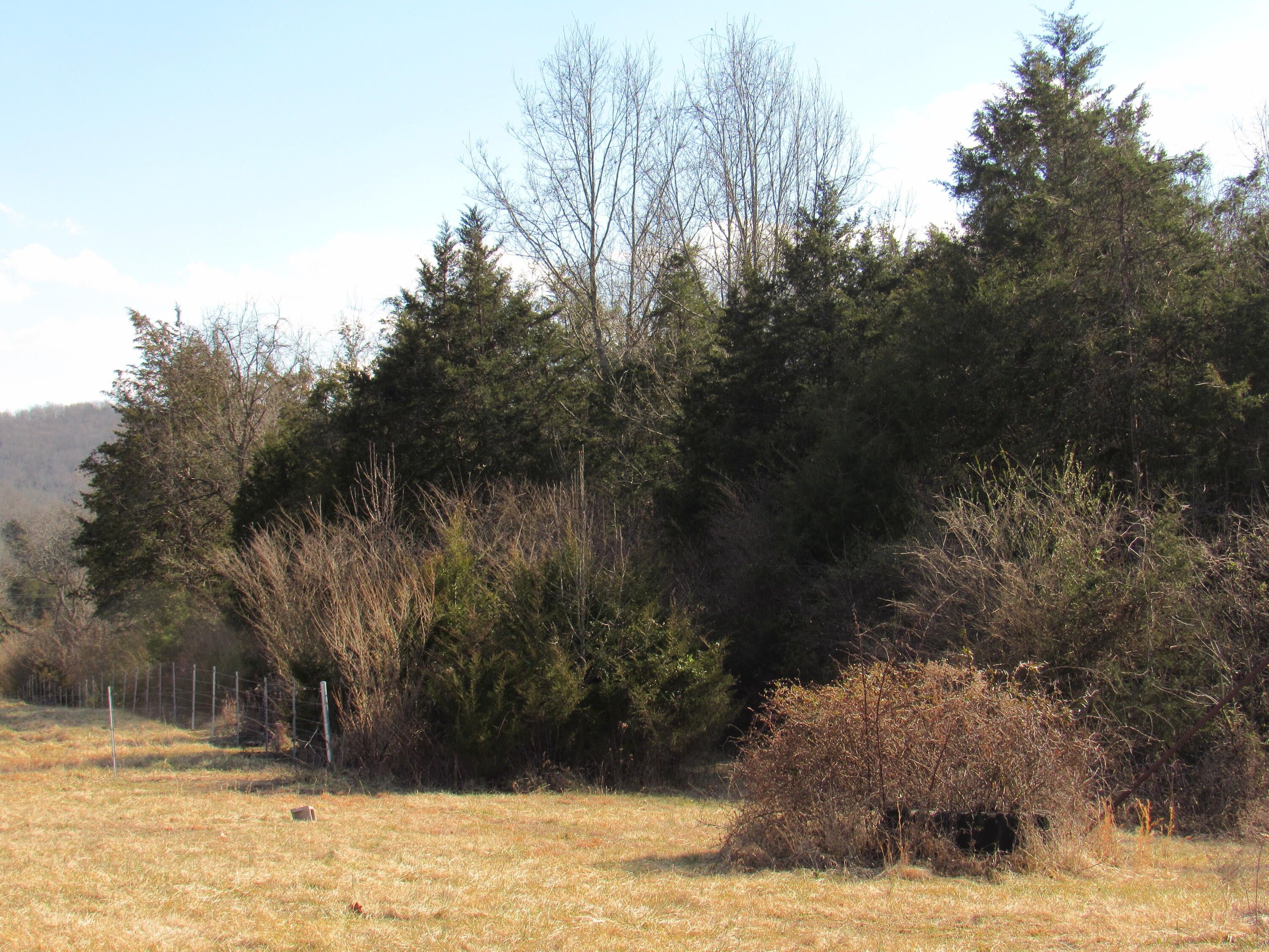 Pennington Gap, Lee County, VA Undeveloped Land for sale Property ID