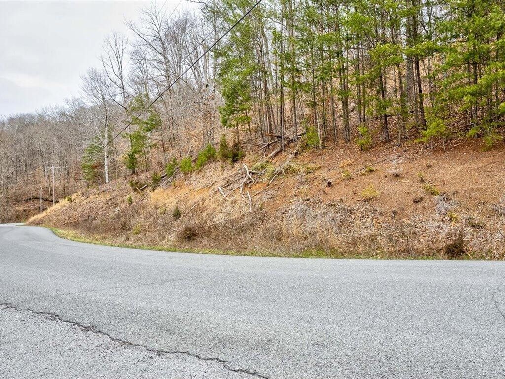 New Tazewell, Claiborne County, TN Undeveloped Land, Lakefront Property, Waterfront Property