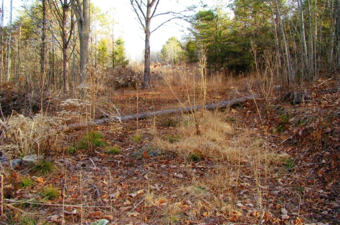 Gate City, Scott County, VA Undeveloped Land for sale Property ID