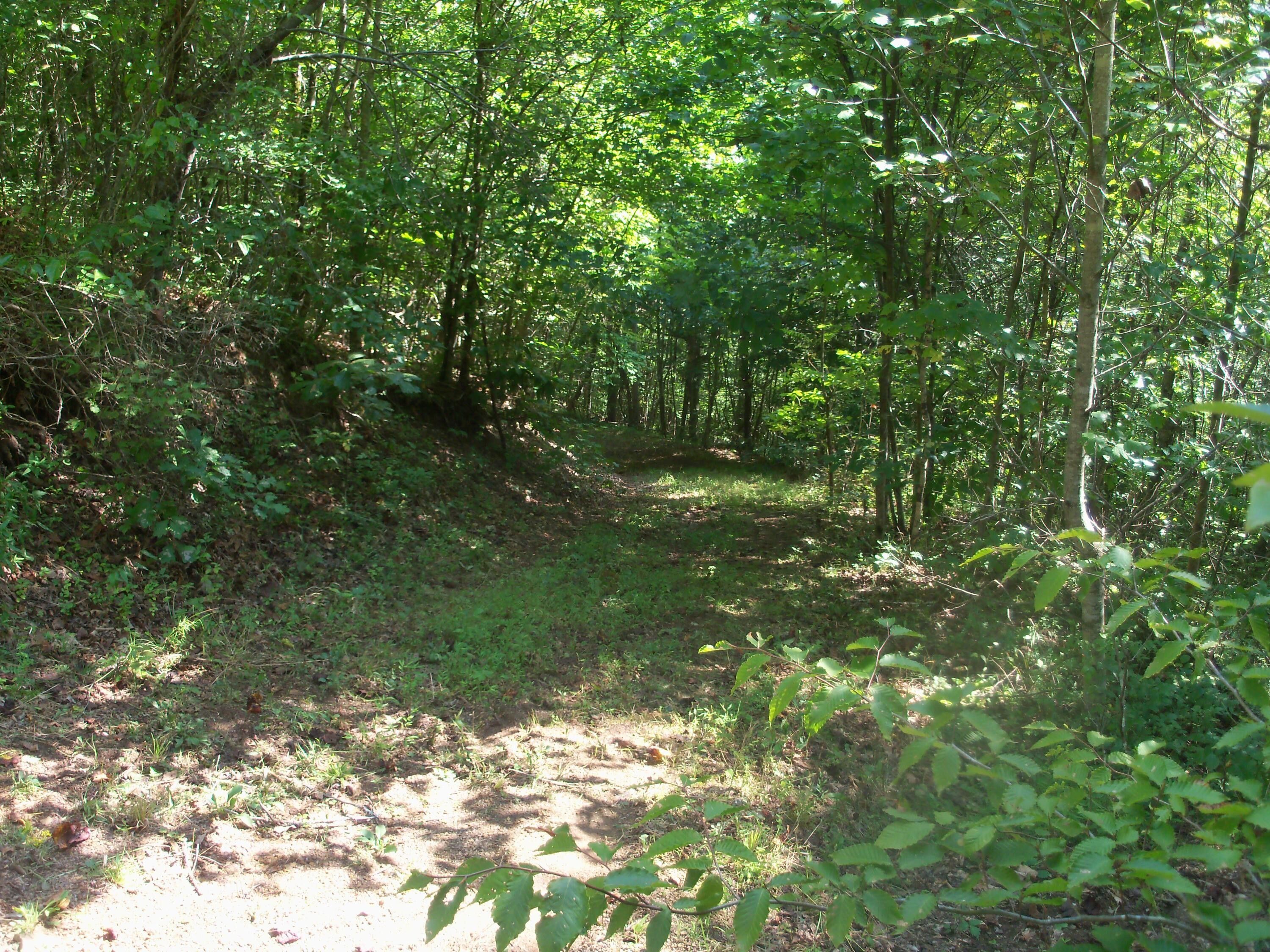 Hiltons, Scott County, VA Undeveloped Land for sale Property ID