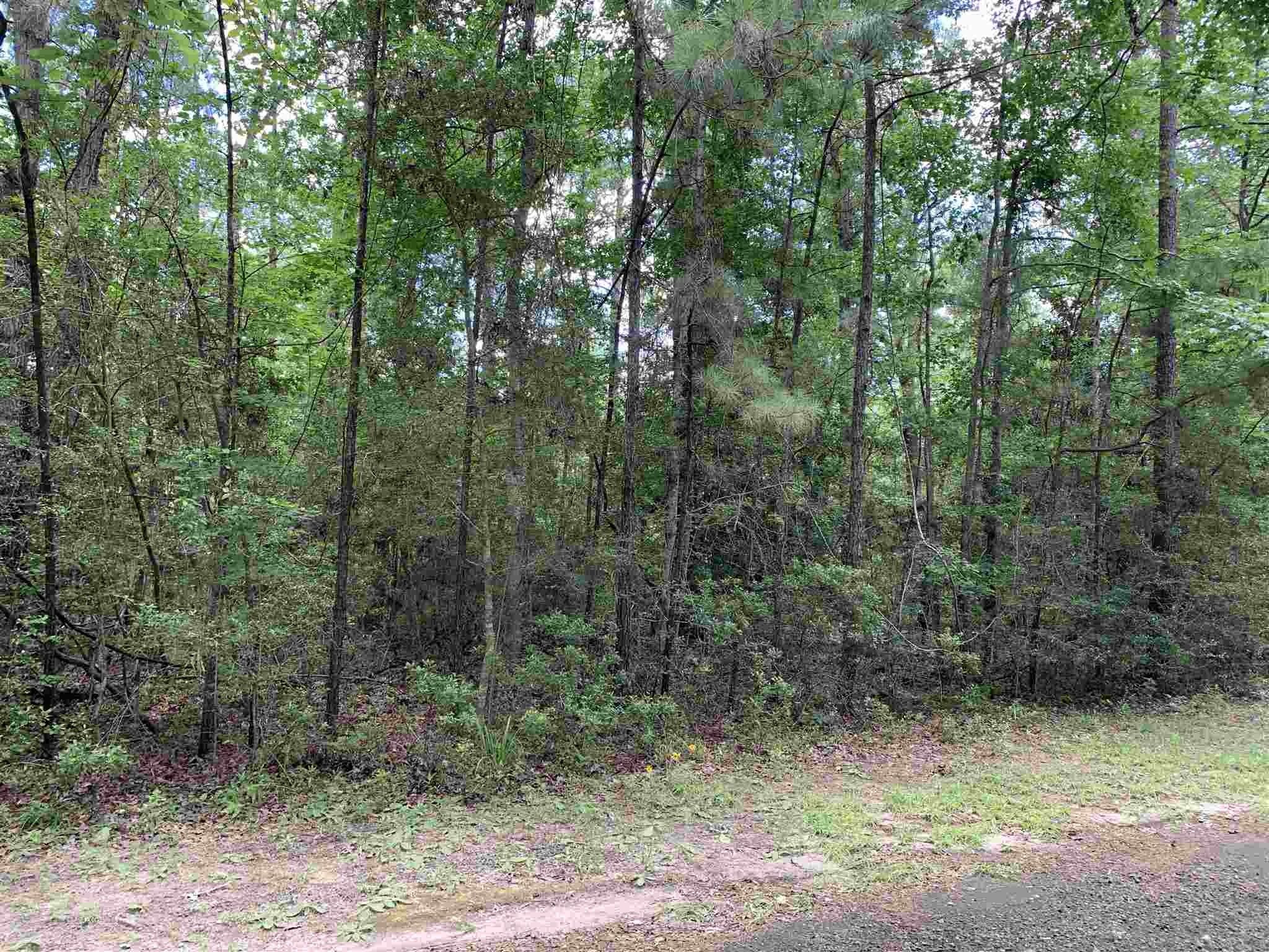 Brookeland, Jasper County, TX Undeveloped Land, Homesites for sale Property ID 410814661