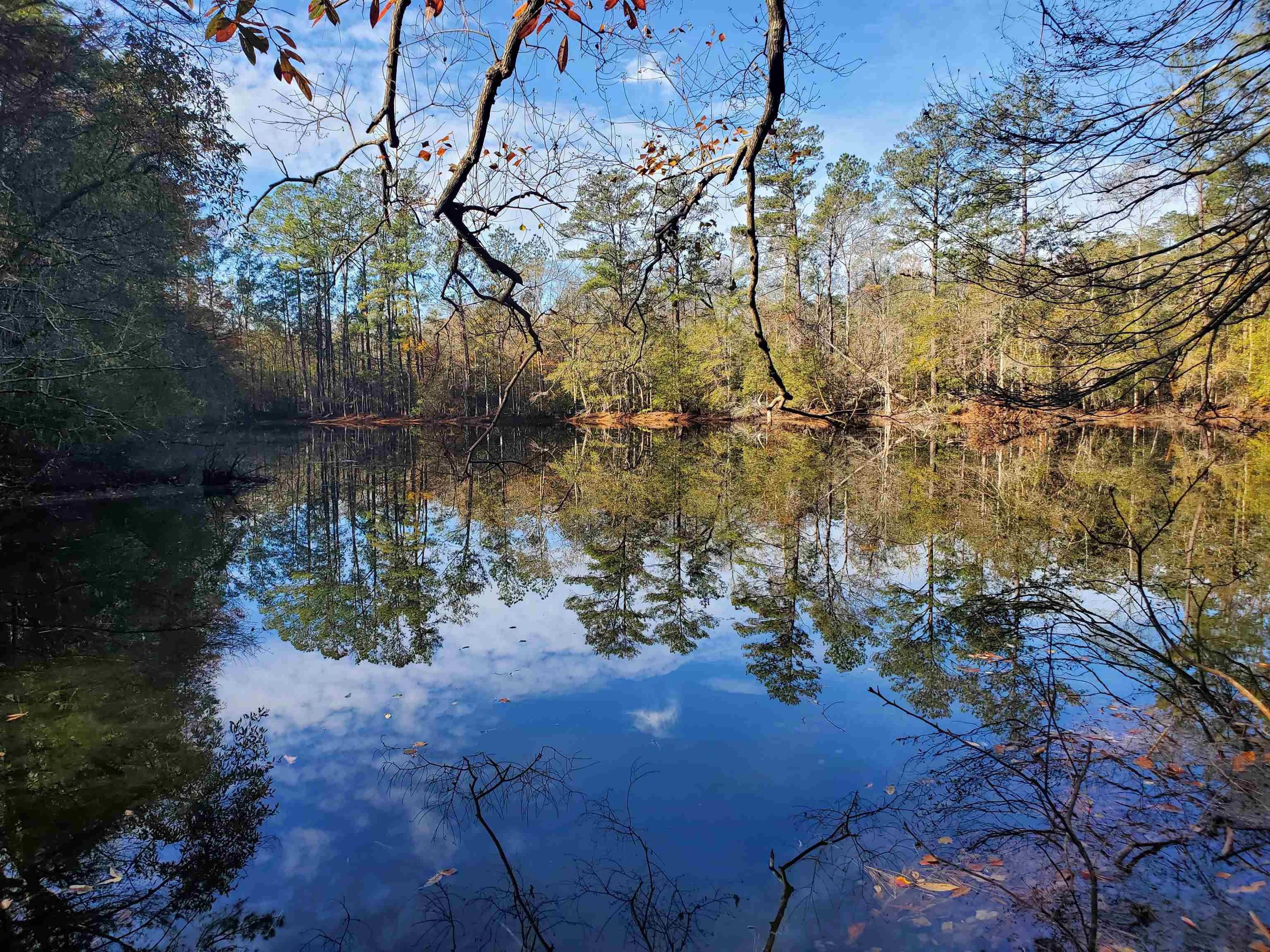 Newton, Newton County, TX Undeveloped Land for sale Property ID