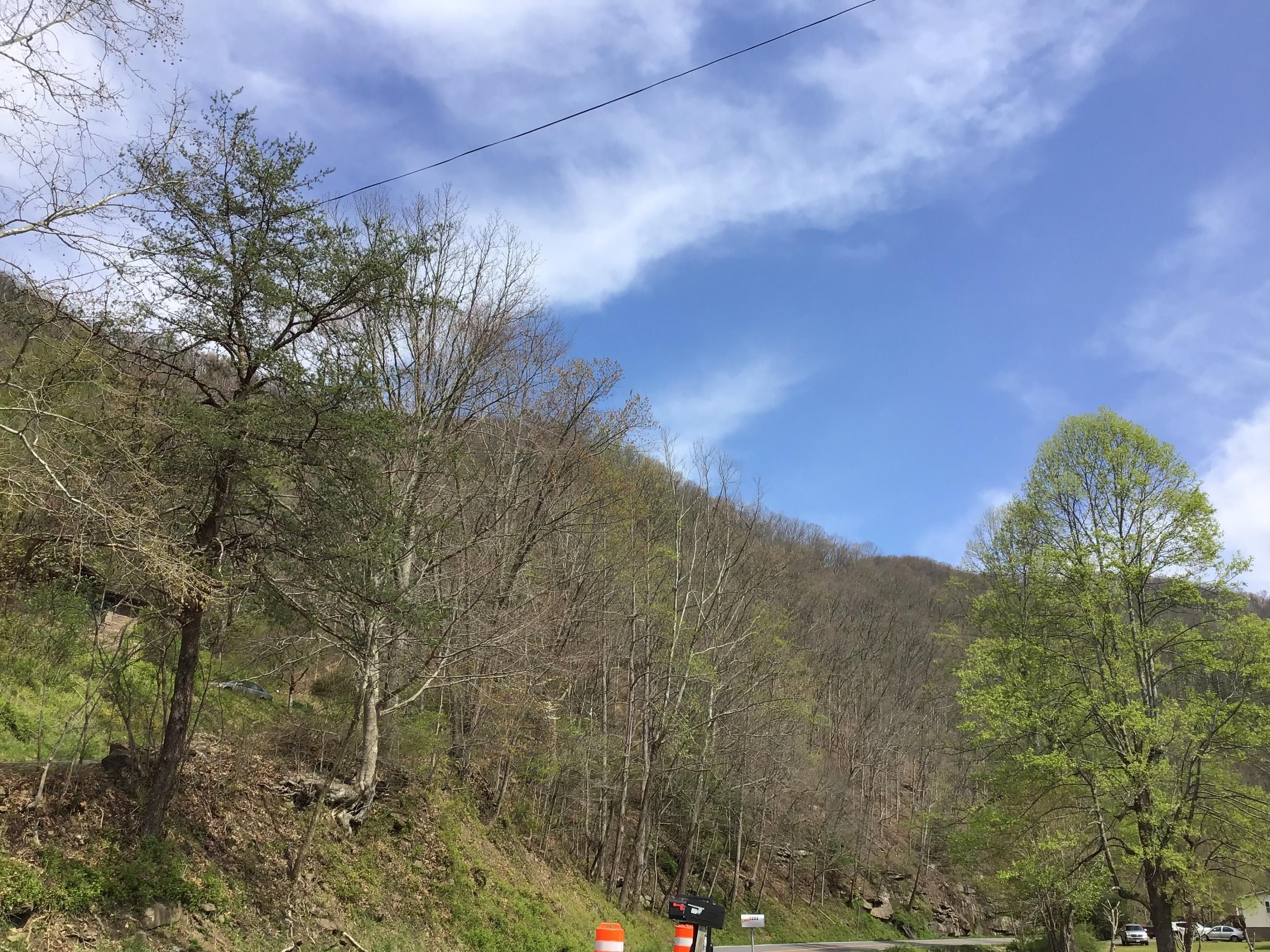 Vansant, Buchanan County, VA Undeveloped Land for sale Property ID