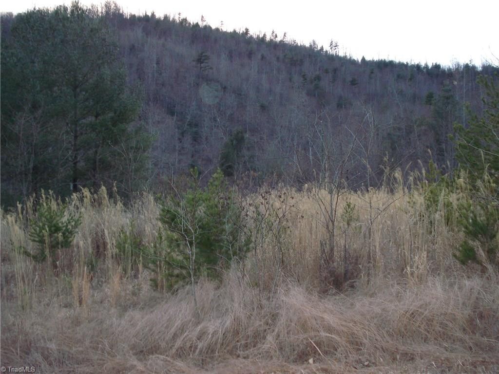 Millers Creek, Wilkes County, NC Undeveloped Land for sale Property ID