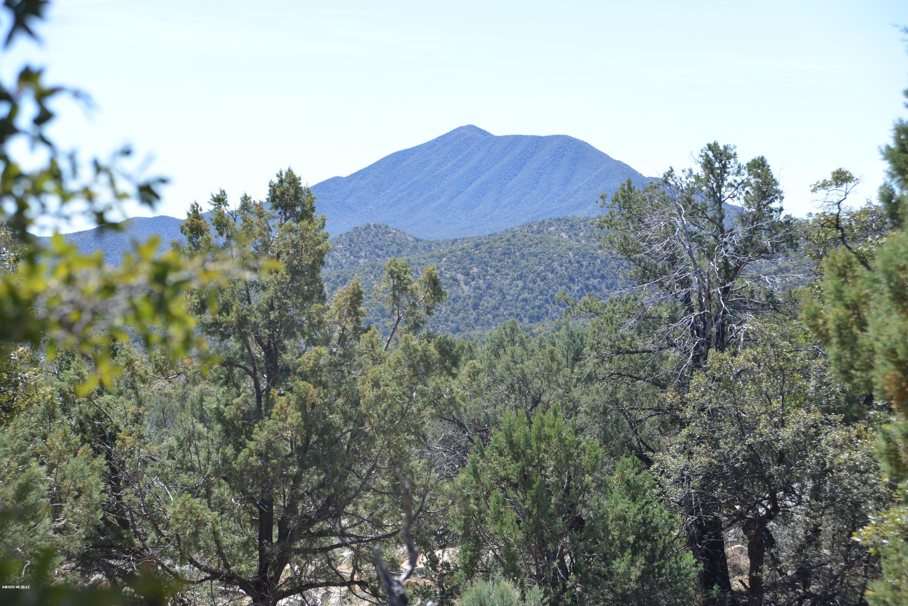 Patagonia, Santa Cruz County, AZ Undeveloped Land for sale Property ID