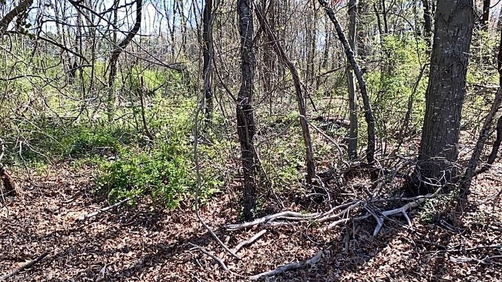 Greensboro, Guilford County, NC Undeveloped Land, Homesites for sale