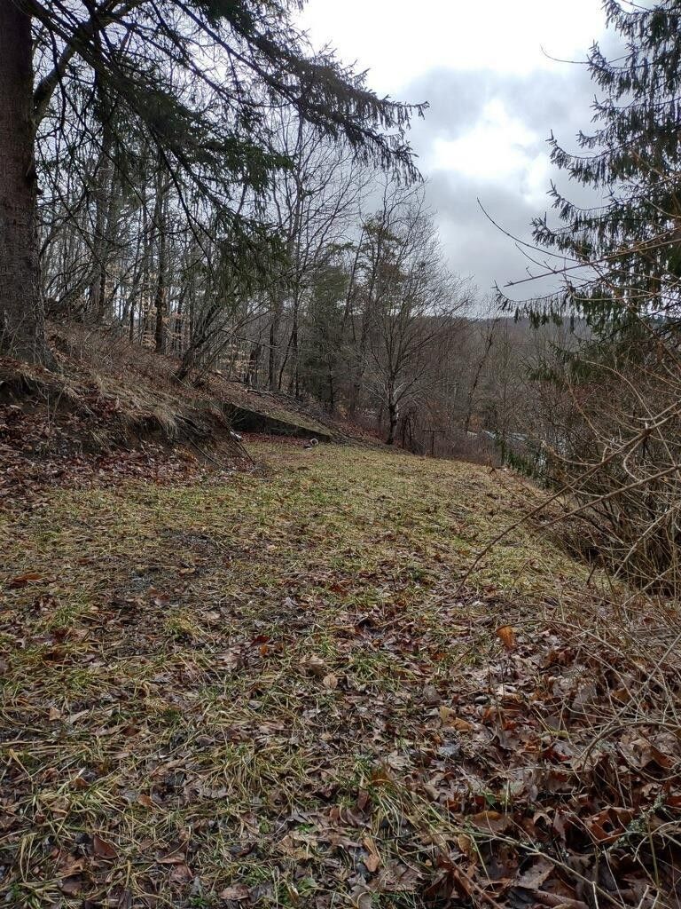 Bluefield, Mercer County, WV Undeveloped Land, Homesites for sale