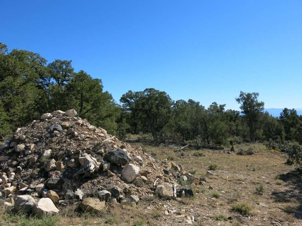 Tres Piedras, Taos County, NM Undeveloped Land for sale Property ID