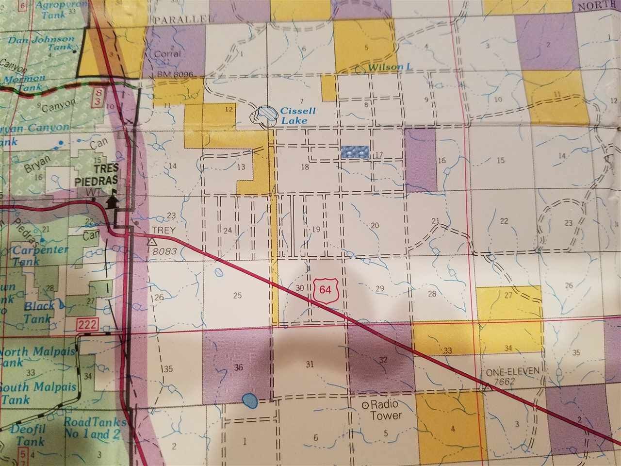 Tres Piedras, Taos County, NM Undeveloped Land for sale Property ID