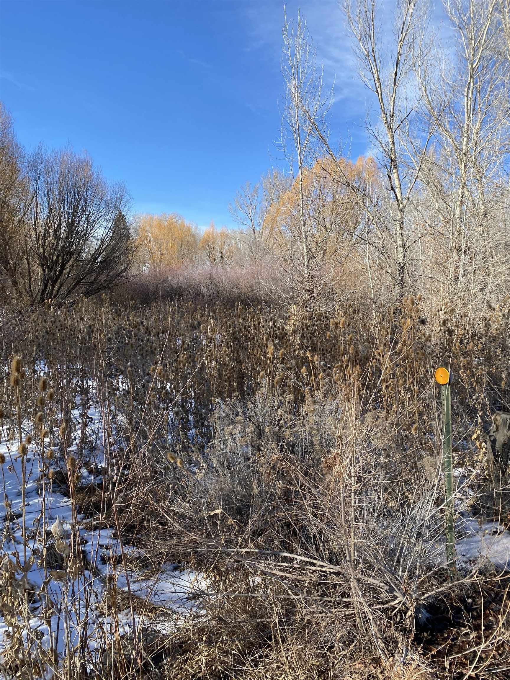 Taos, Taos County, NM Undeveloped Land, Homesites for sale Property ID