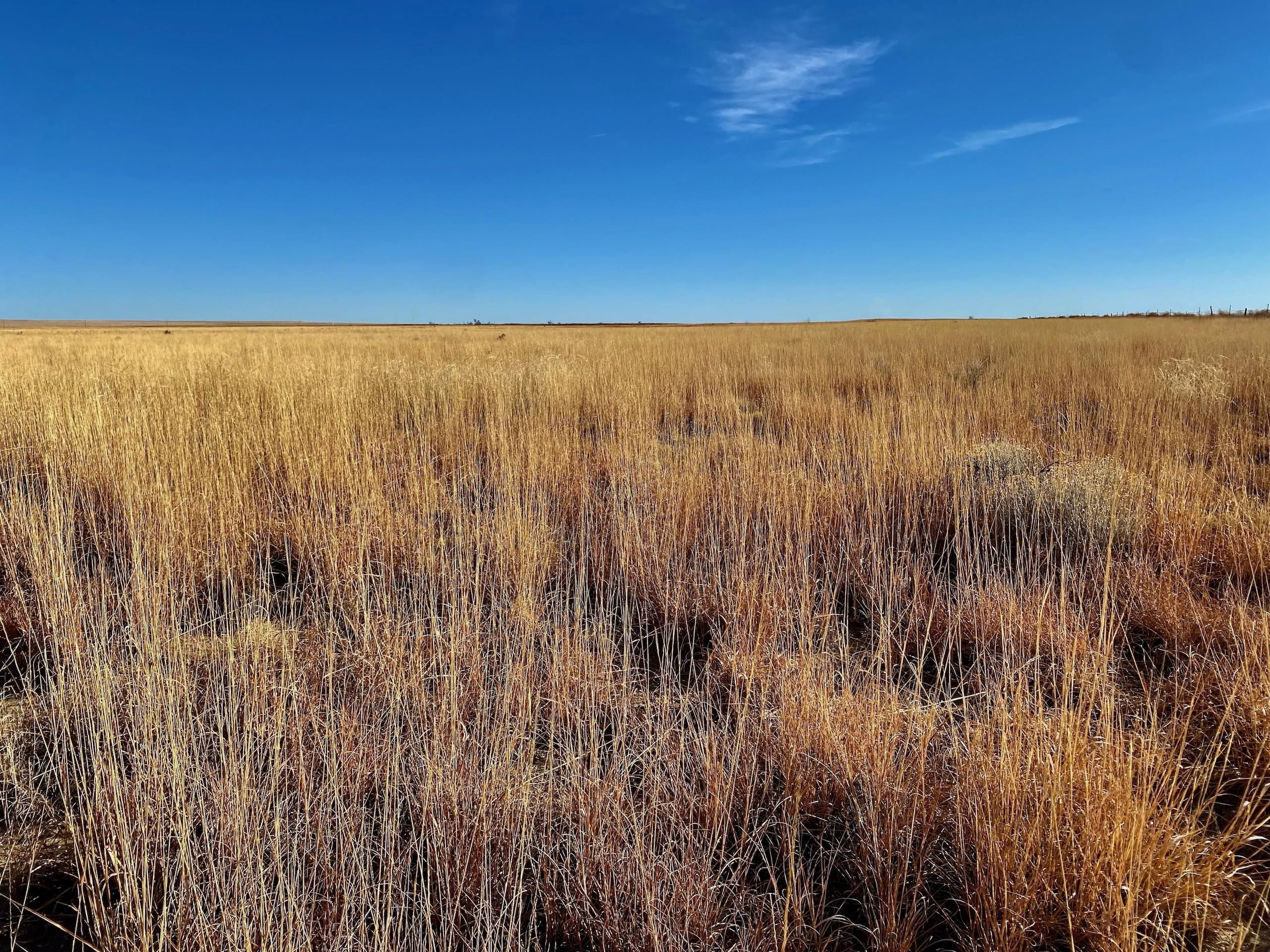 Ordway, Lincoln County, CO Farms and Ranches, Recreational Property for sale Property ID