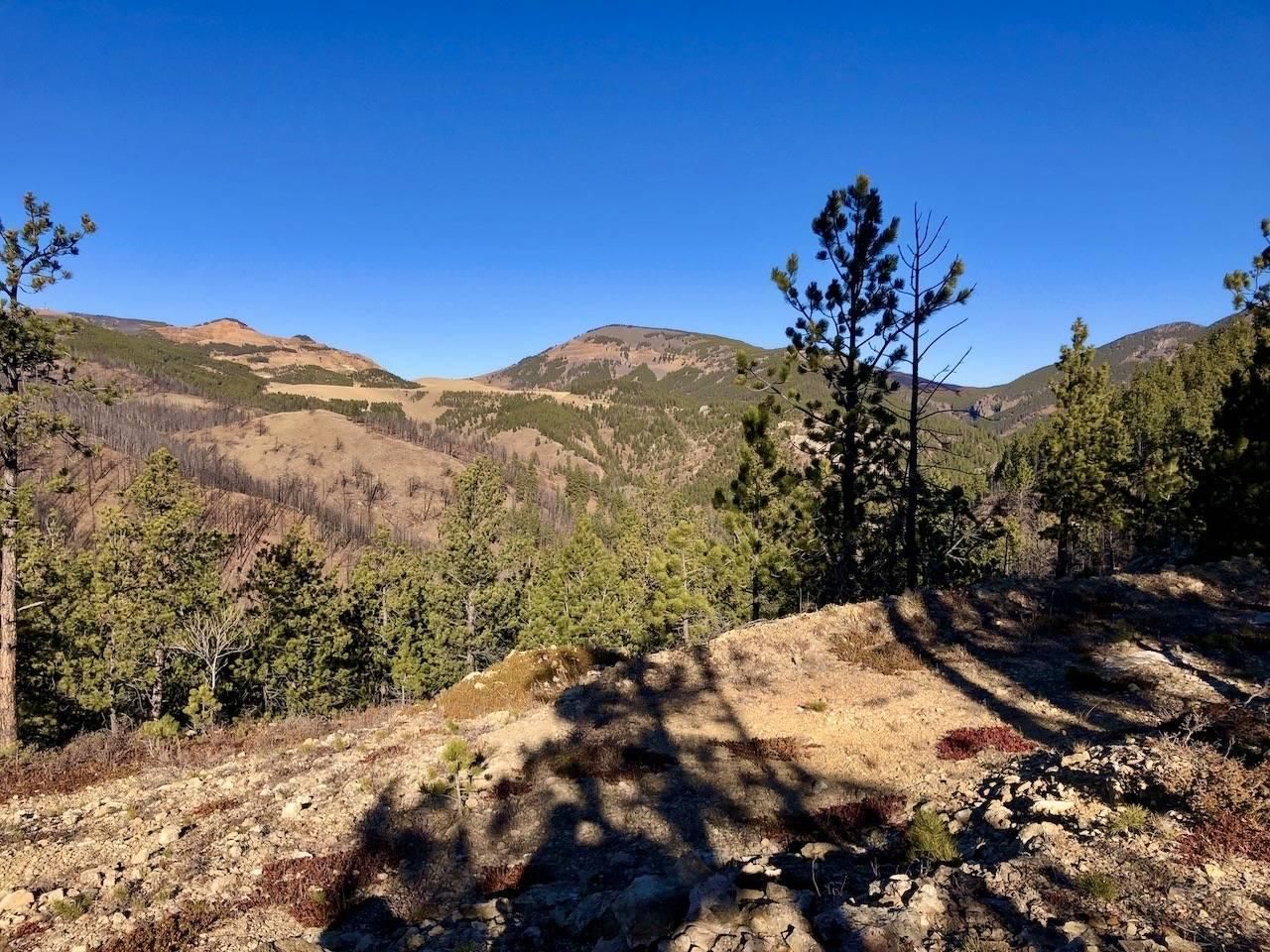 Zortman, Phillips County, MT Recreational Property, Timberland Property