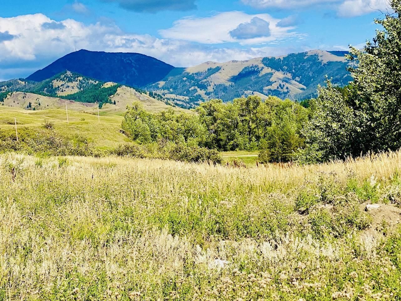 Belt, Cascade County, MT Farms and Ranches, Hunting Property, Horse