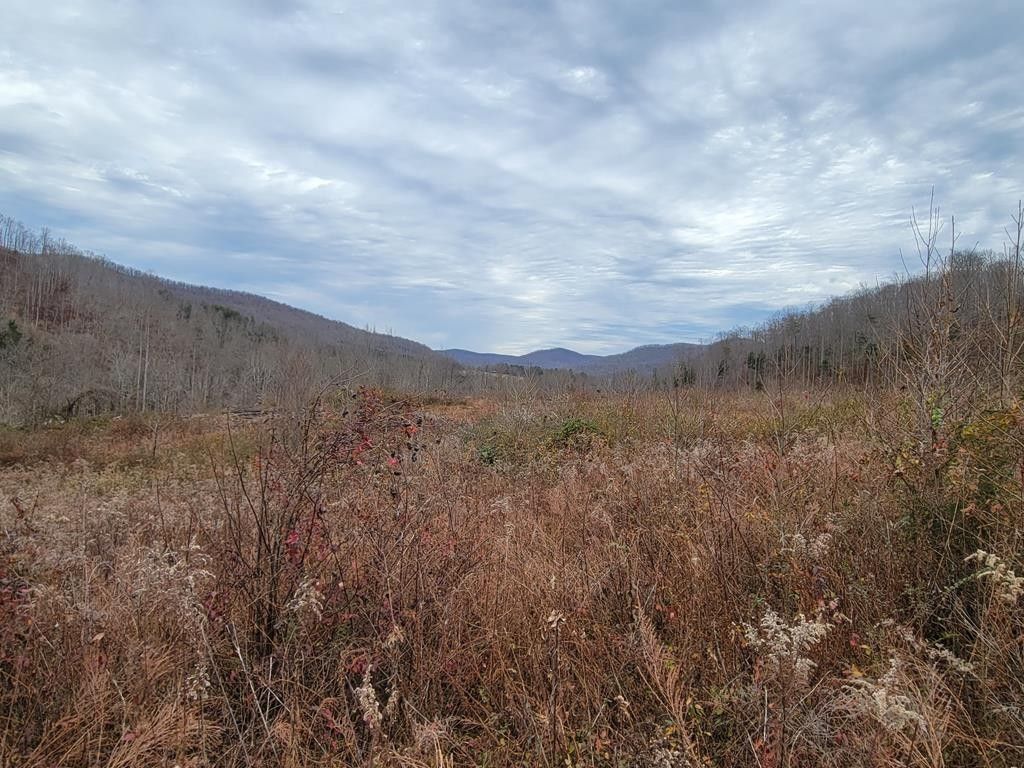 Allred, Overton County, TN Undeveloped Land, Lakefront Property