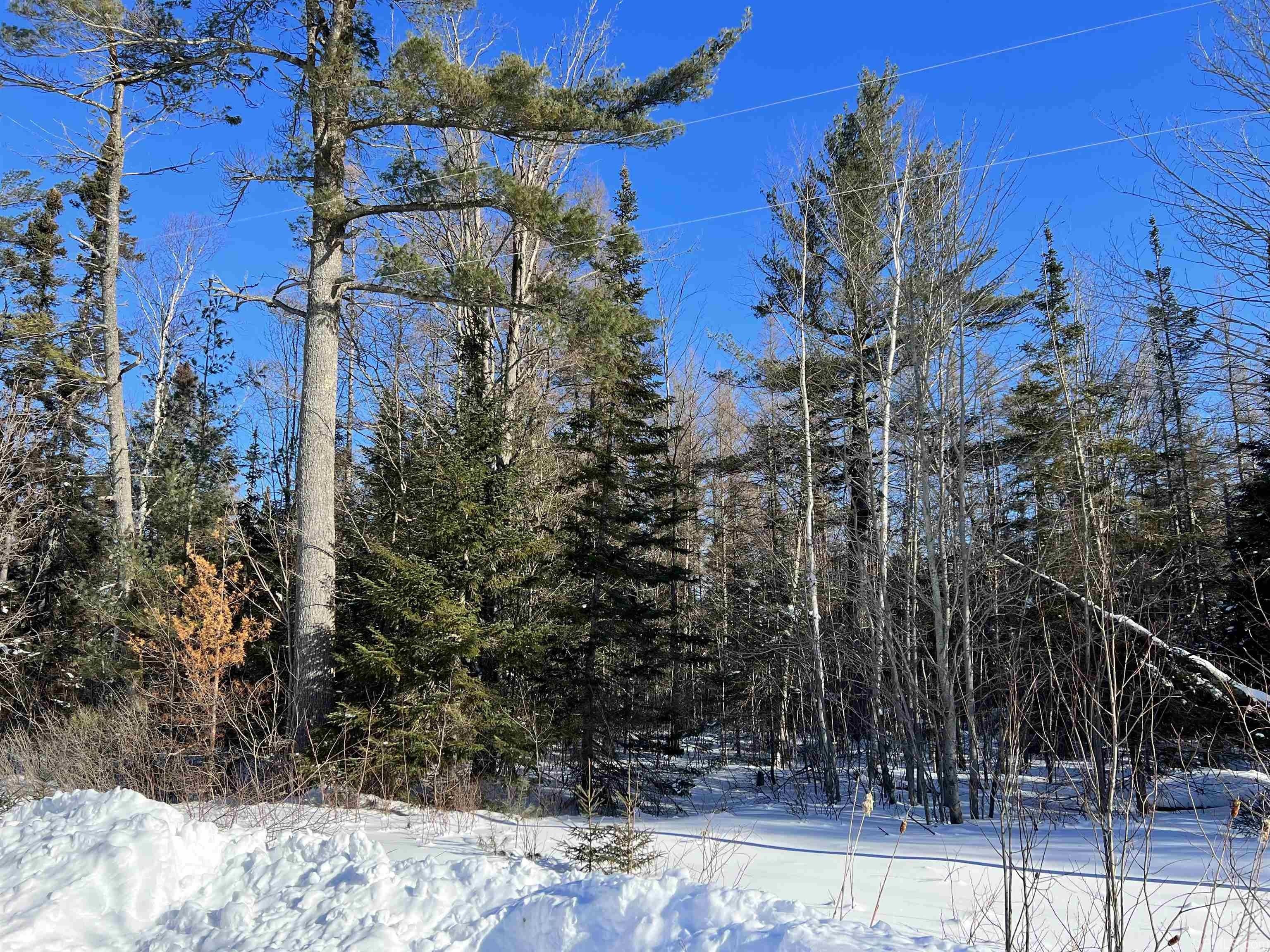 Gould City, Mackinac County, MI Undeveloped Land, Homesites for sale