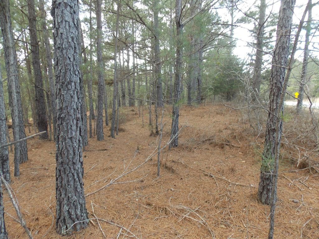 Lincolnton, Lincoln County, GA Undeveloped Land for sale Property ID