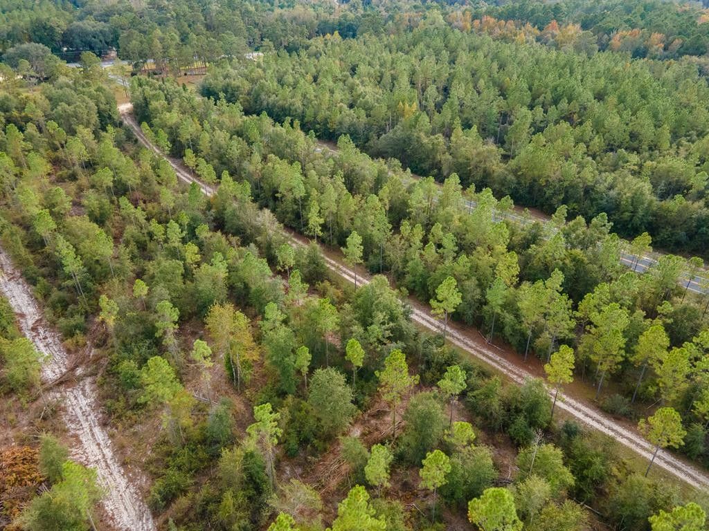 Lakeland, Lanier County, GA Undeveloped Land for sale Property ID 412916260 LandWatch