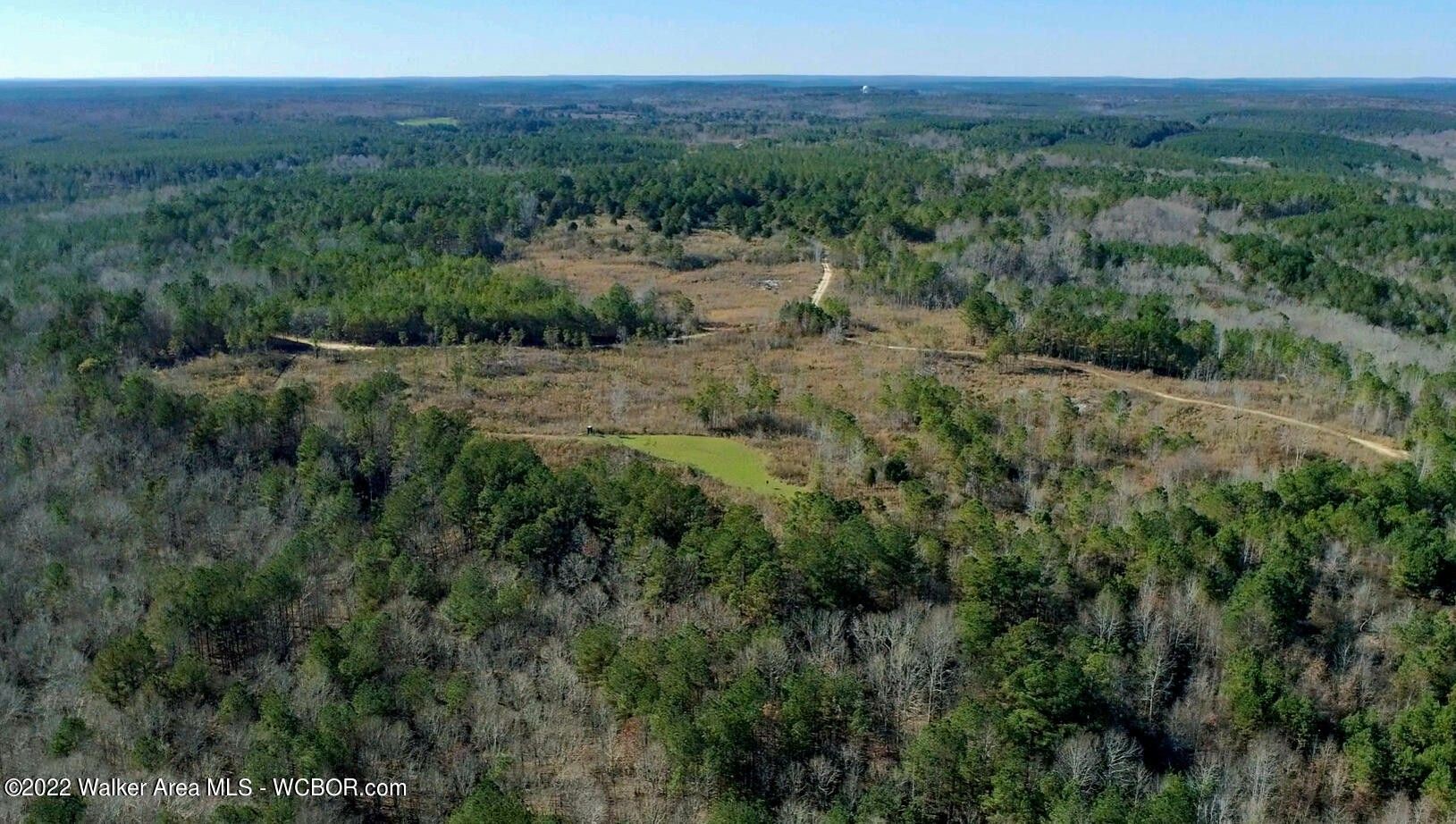Lynn, Winston County, AL Undeveloped Land for sale Property ID