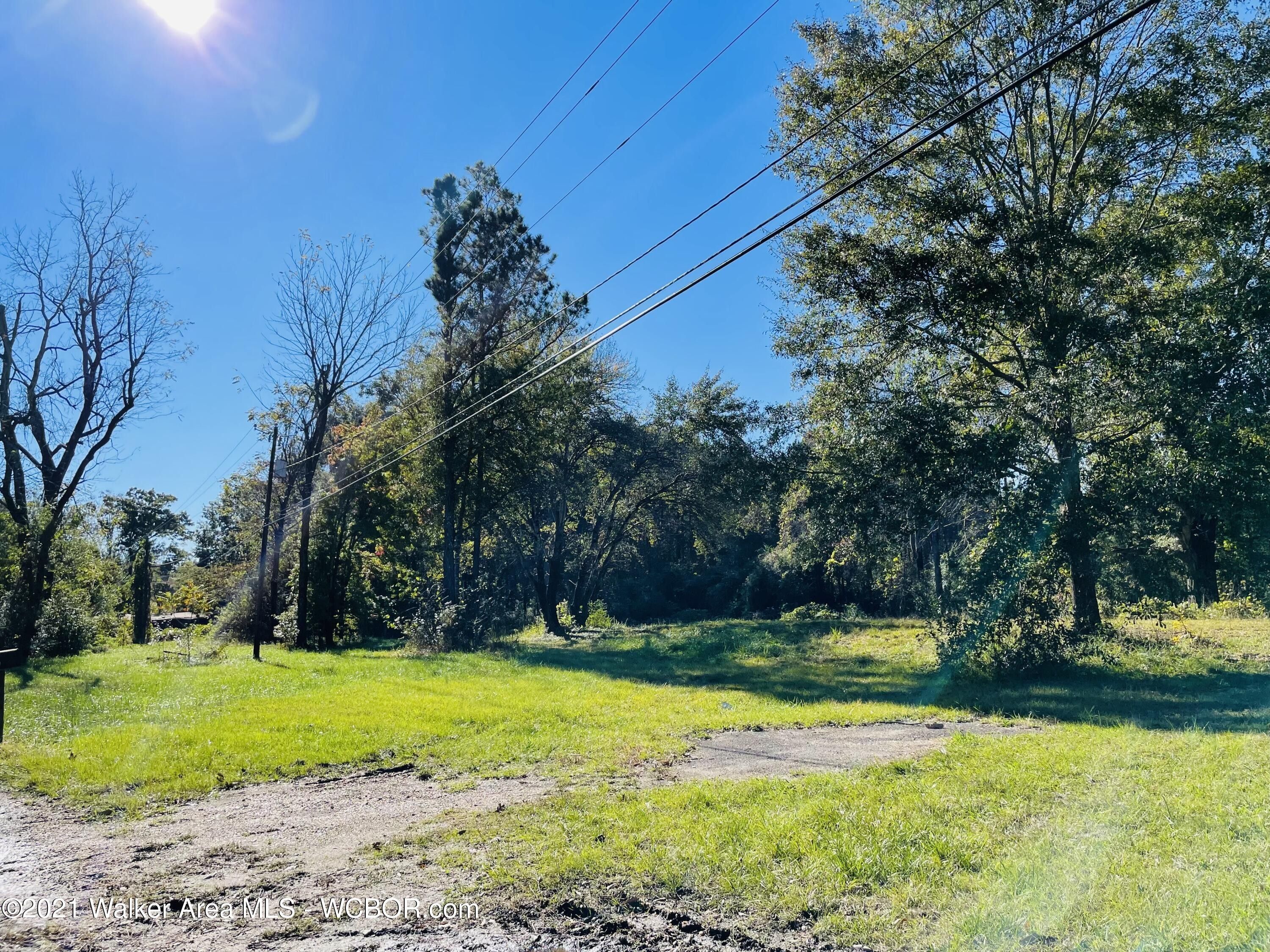 Nauvoo, Winston County, AL Undeveloped Land for sale Property ID