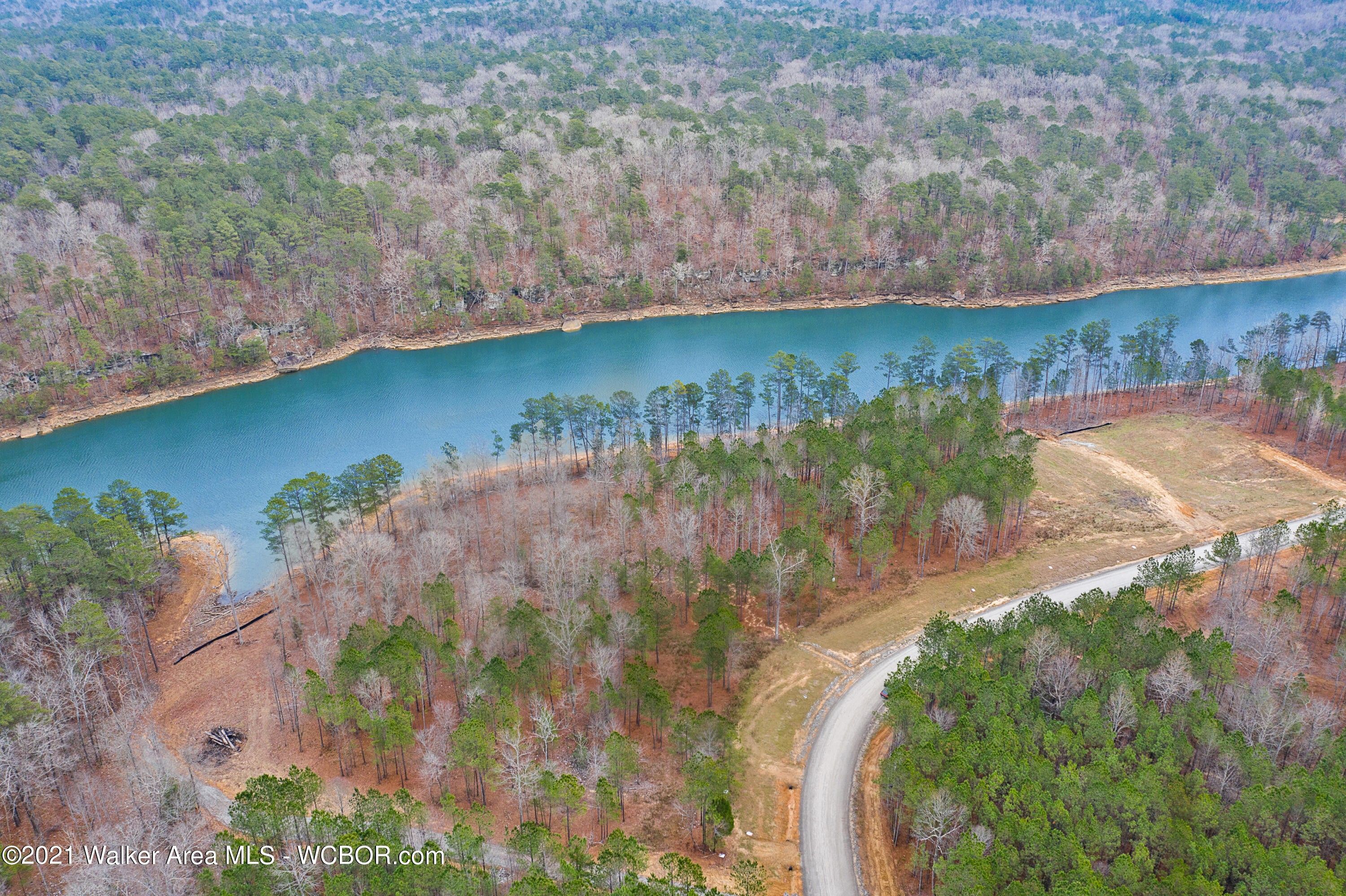 Double Springs, Winston County, AL Farms and Ranches, Lakefront