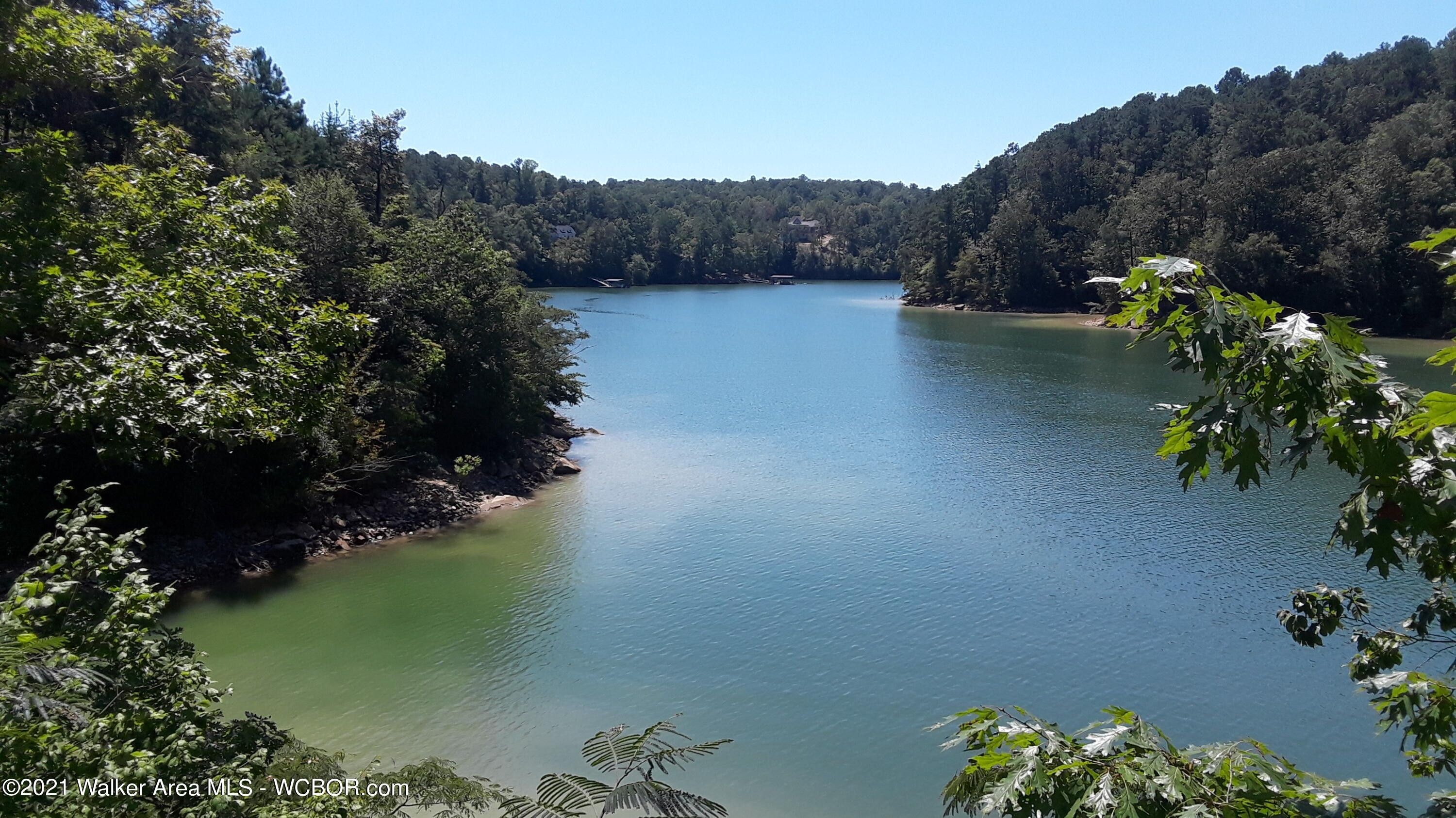 Jasper, Winston County, AL Undeveloped Land, Lakefront Property