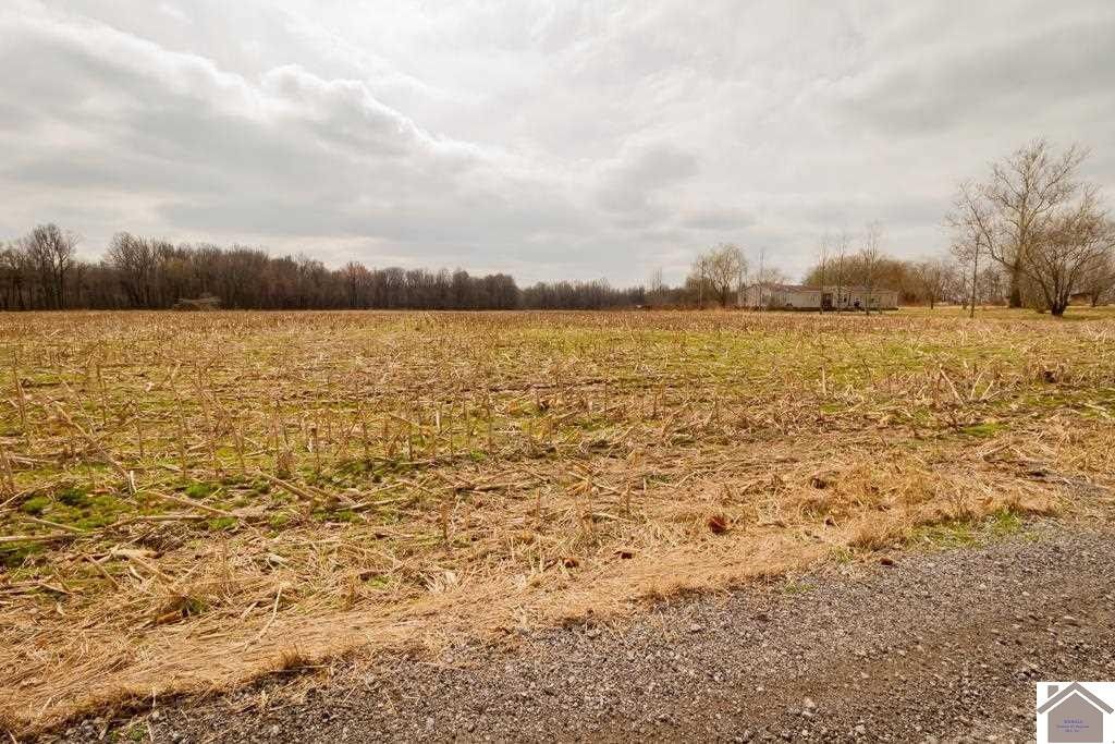Gage, Ballard County, KY Farms and Ranches for sale Property ID