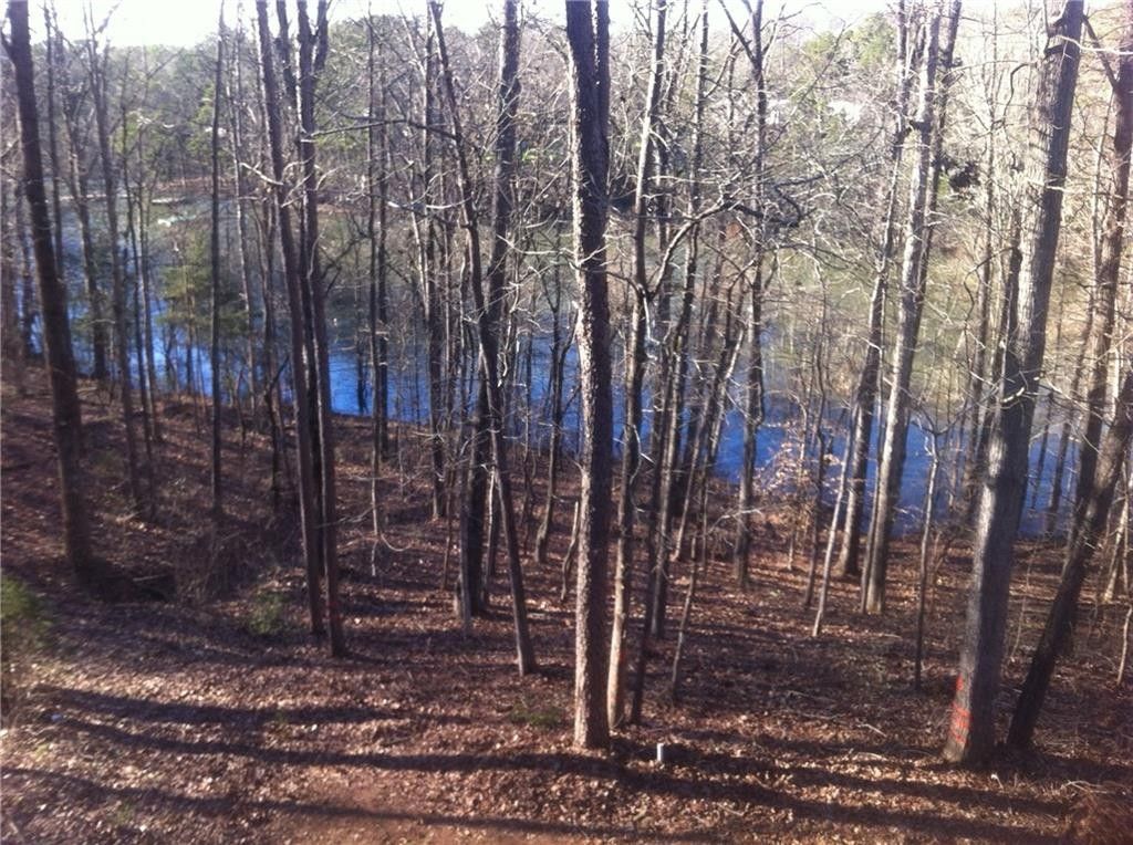 Fair Play, Oconee County, SC Undeveloped Land, Lakefront Property