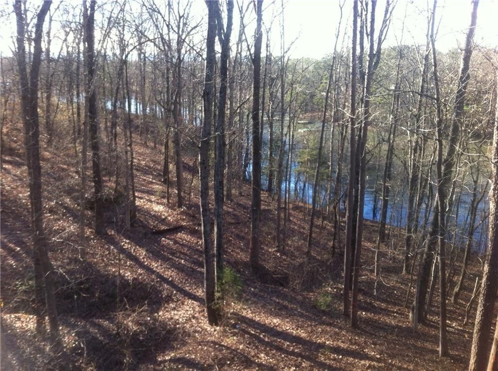 Fair Play, Oconee County, SC Undeveloped Land, Lakefront Property
