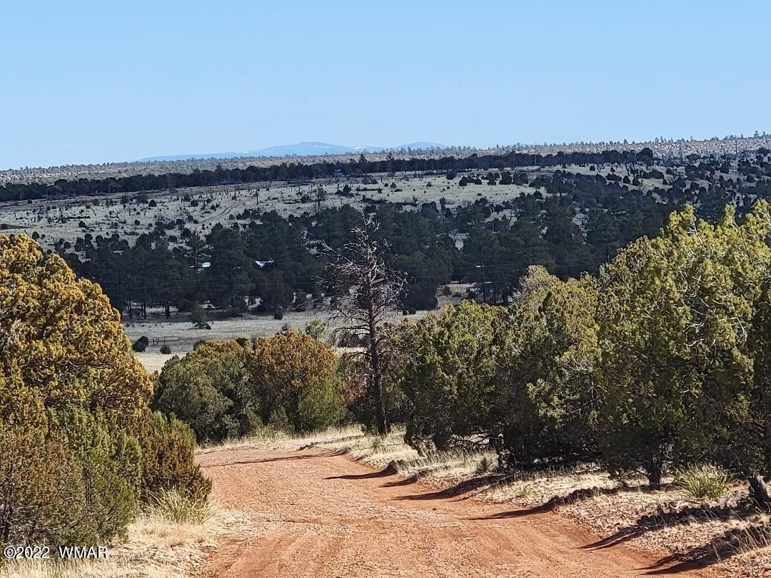 Overgaard, Navajo County, AZ for sale Property ID 413012419 LandWatch