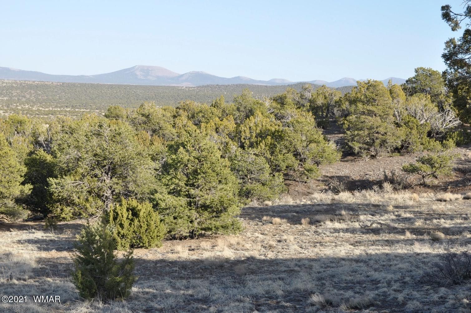 Vernon, Apache County, AZ Undeveloped Land for sale Property ID