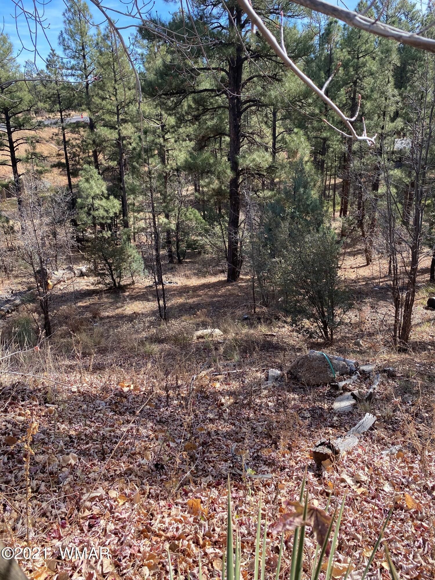 Show Low, Navajo County, AZ Undeveloped Land, Homesites for sale