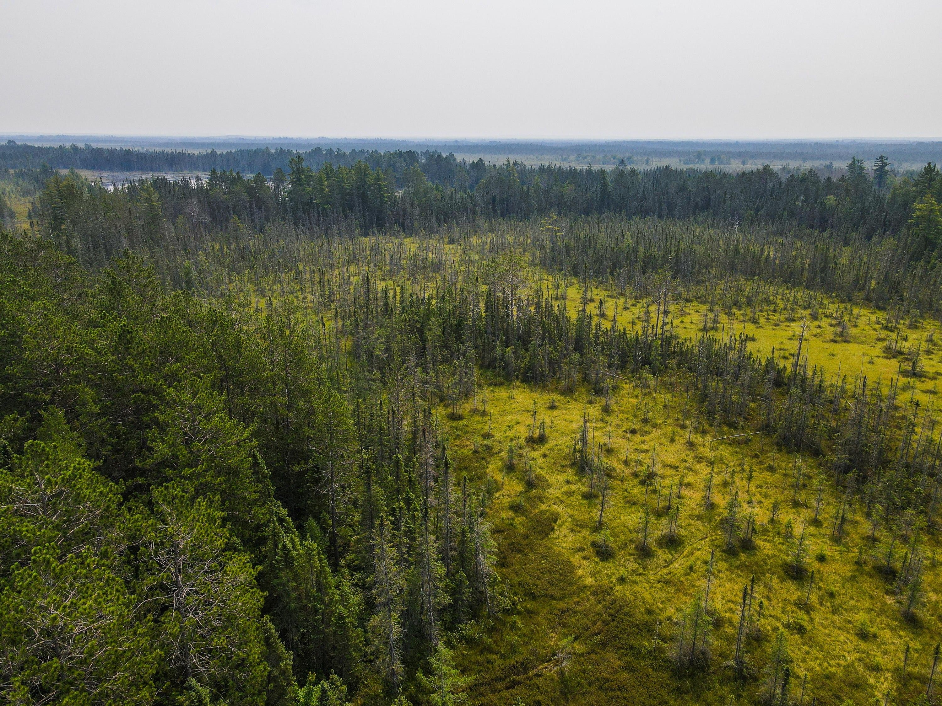 Newberry, Luce County, MI Undeveloped Land for sale Property ID