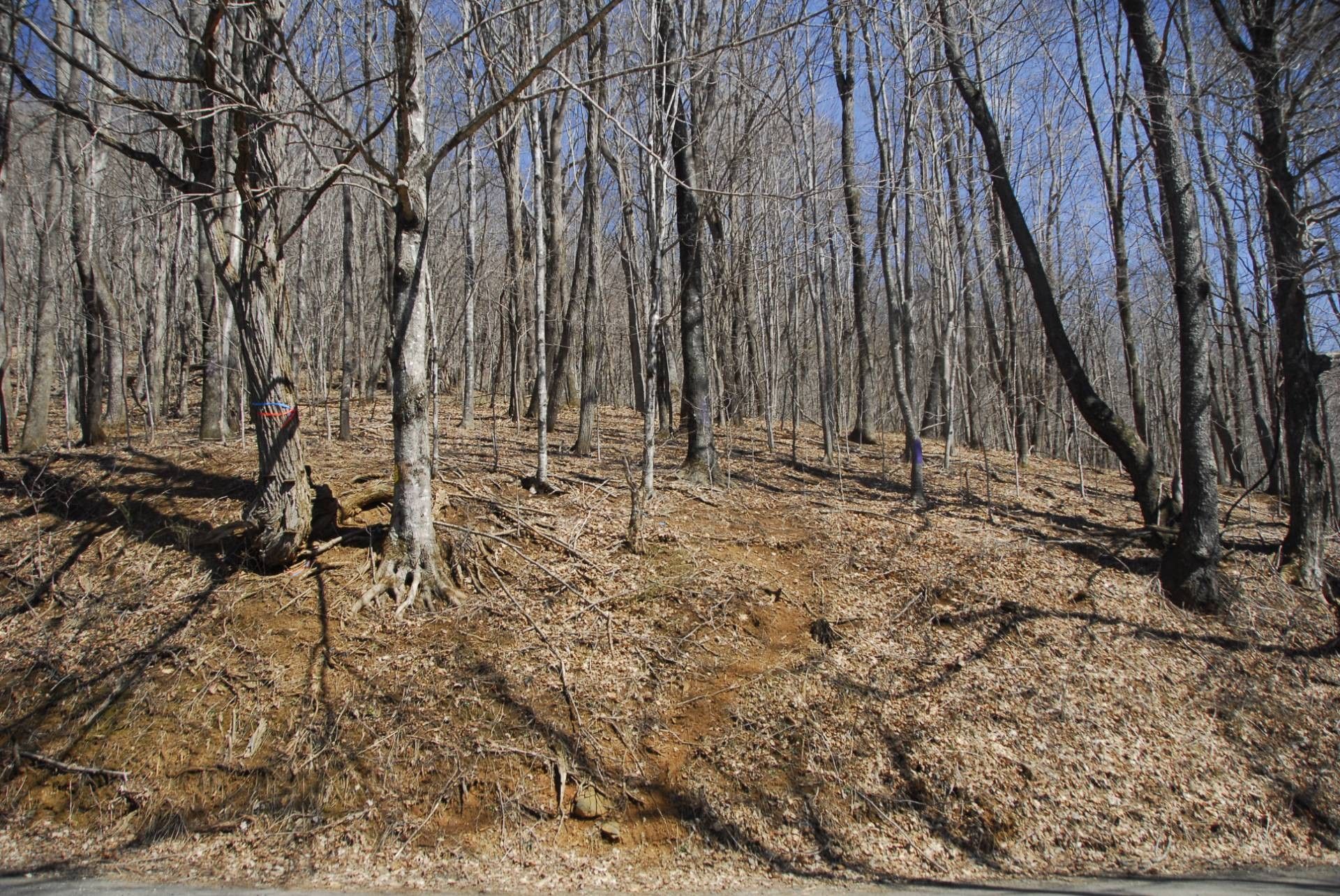Newland, Avery County, NC Undeveloped Land for sale Property ID