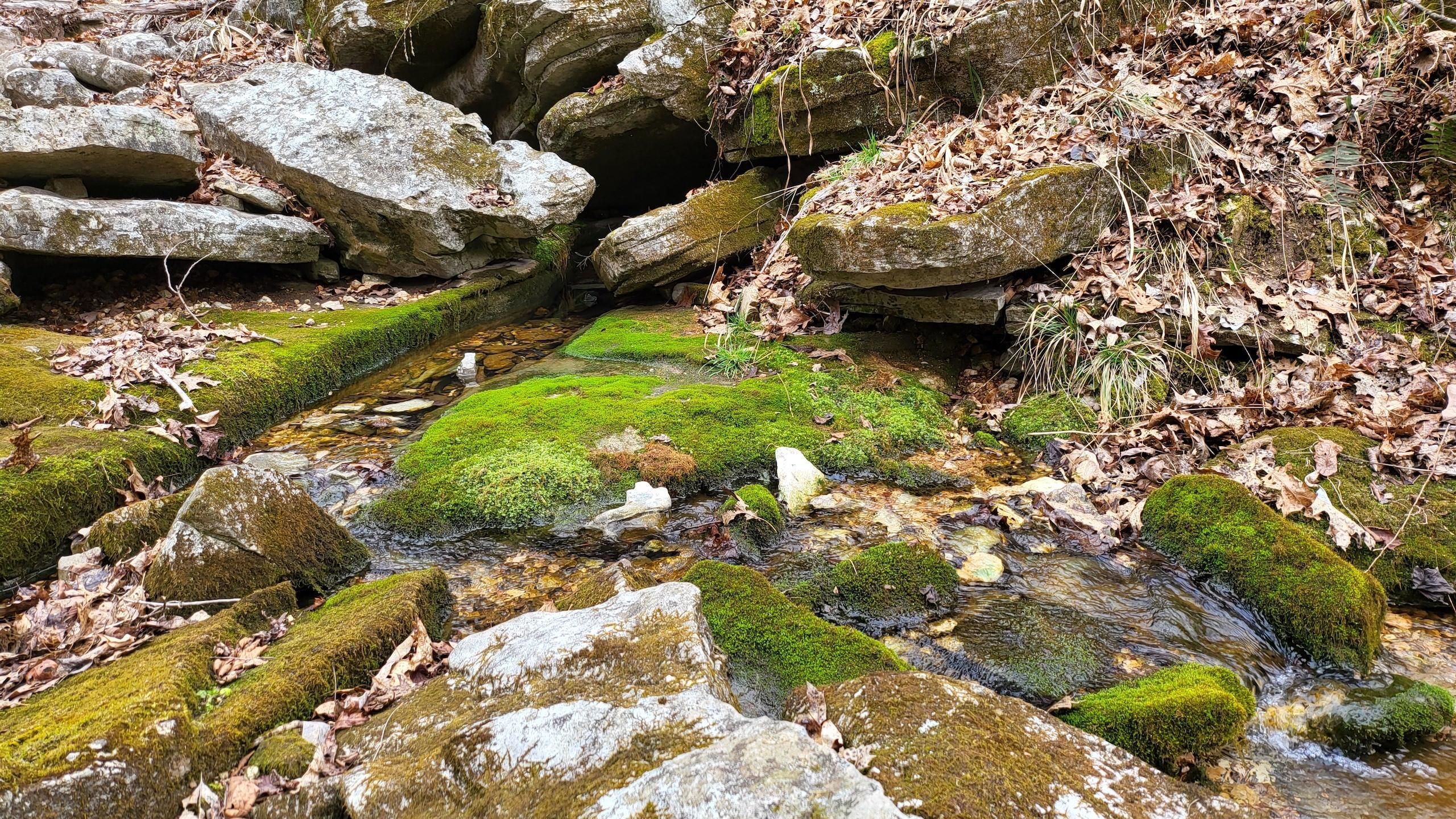 Cozahome, Searcy County, AR Recreational Property, Timberland Property