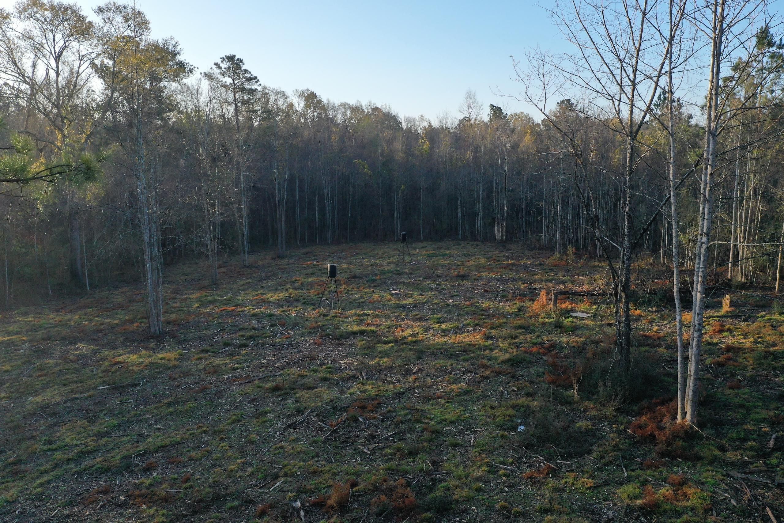 Greensburg, Saint Helena Parish, LA Recreational Property, Timberland