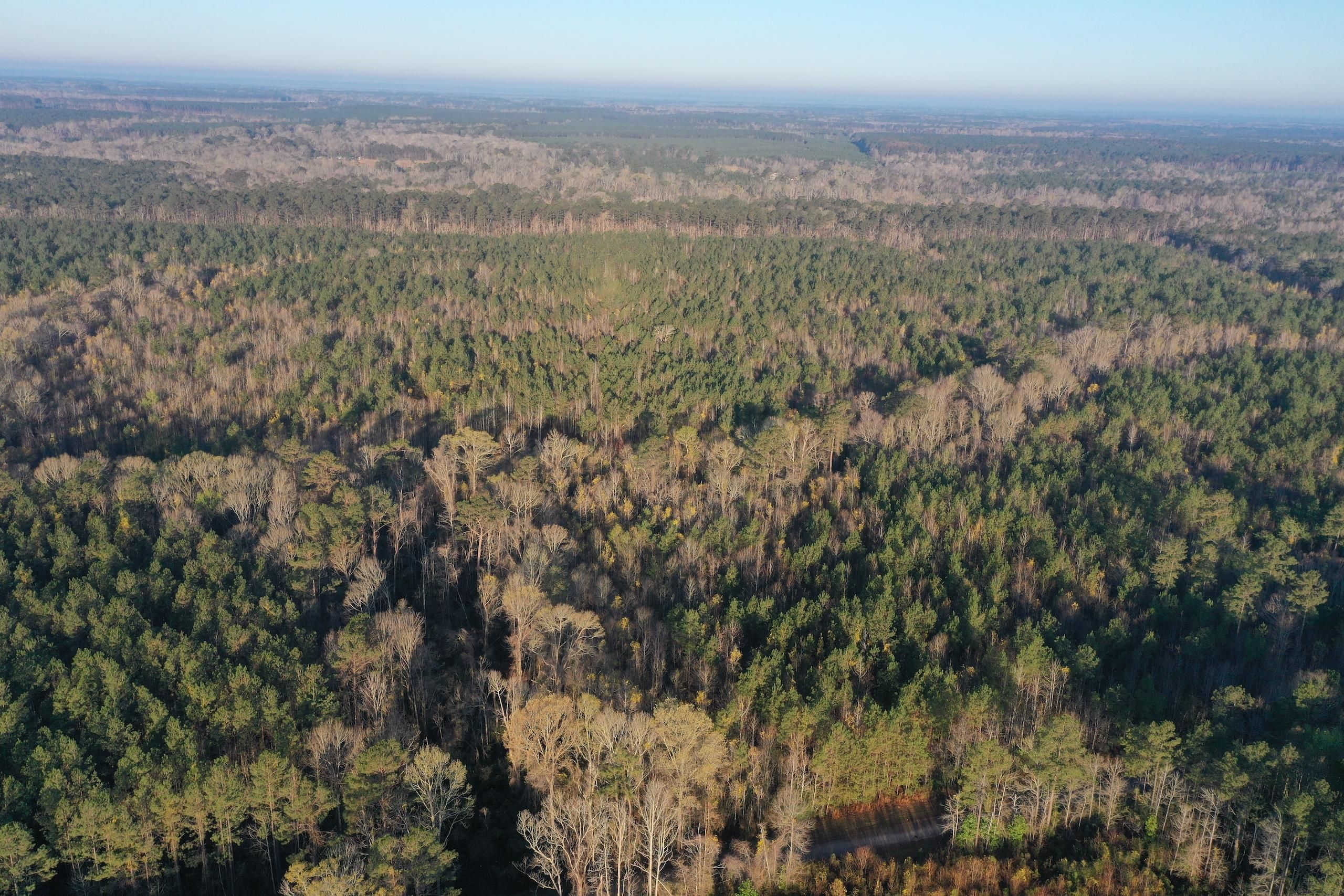 Greensburg, Saint Helena Parish, LA Recreational Property, Timberland