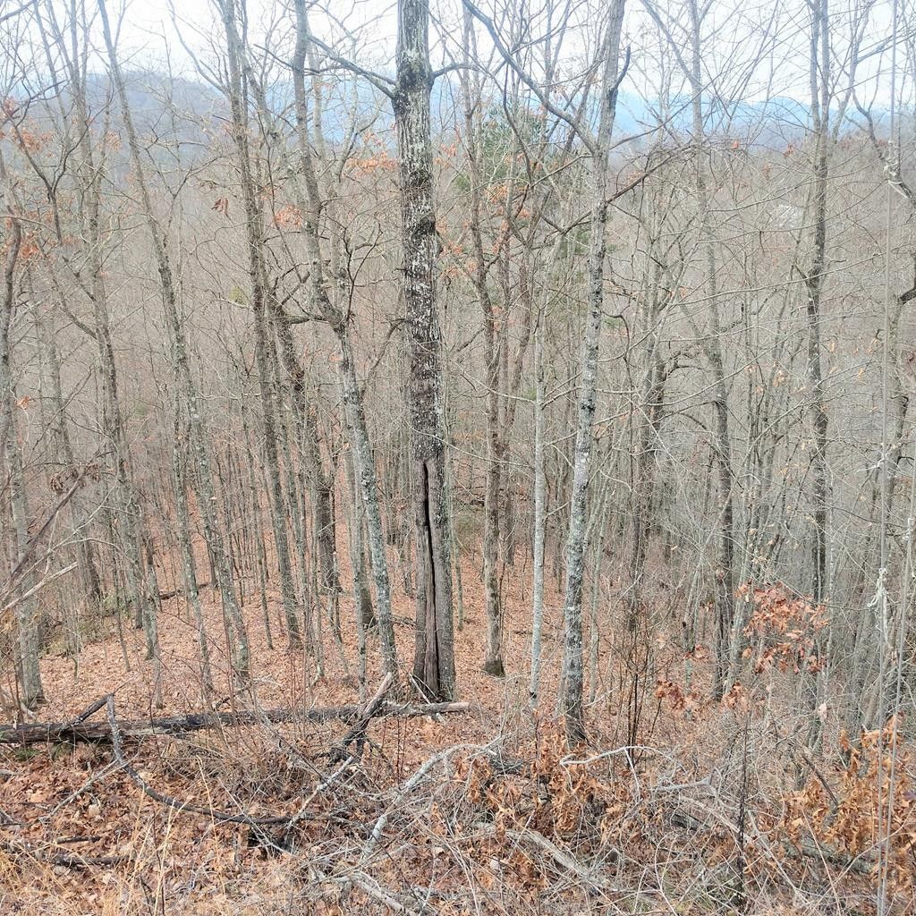 Bryson City, Swain County, NC Undeveloped Land, Homesites for sale