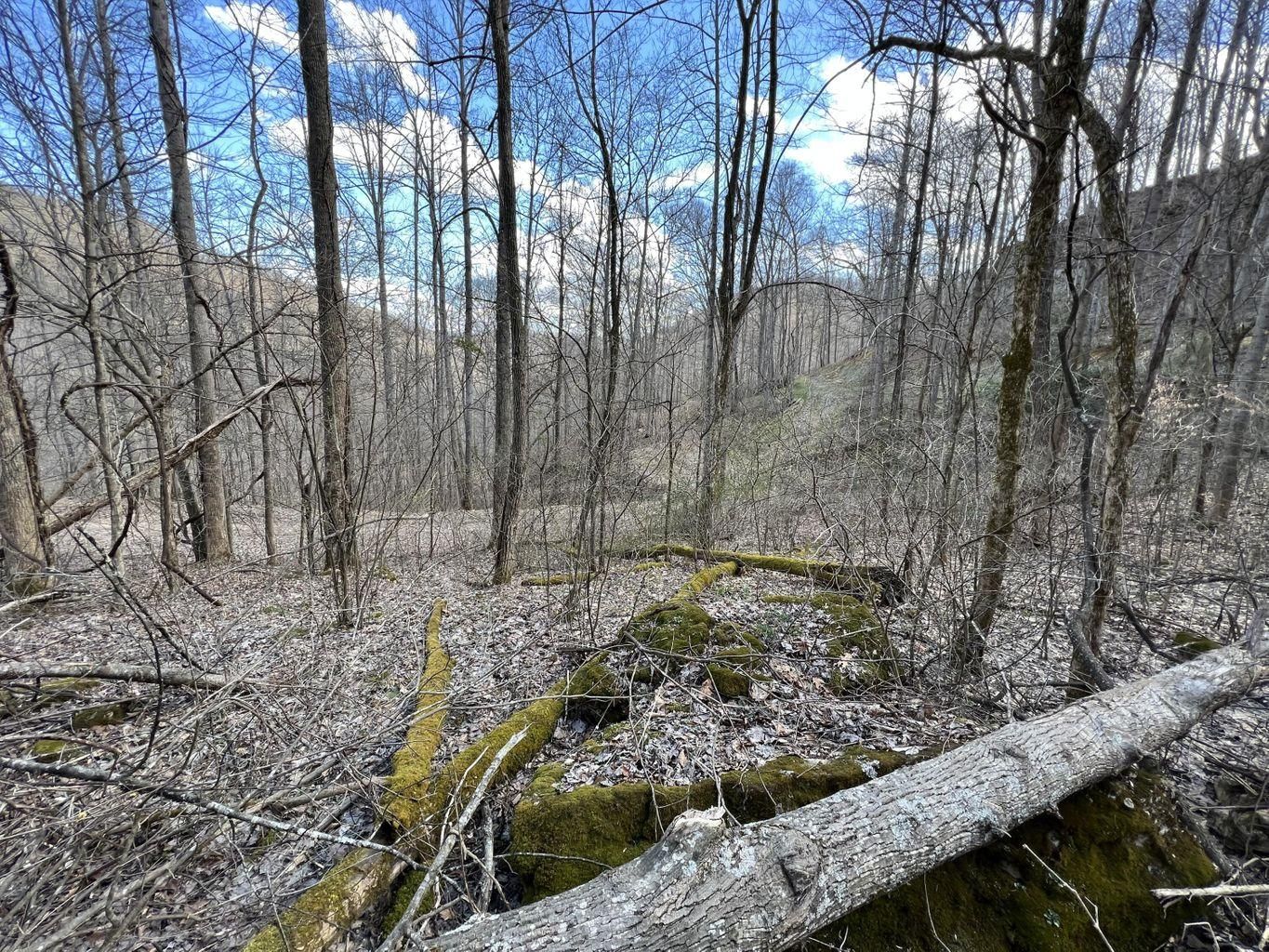 Stanton, Powell County, KY Undeveloped Land, Homesites for sale