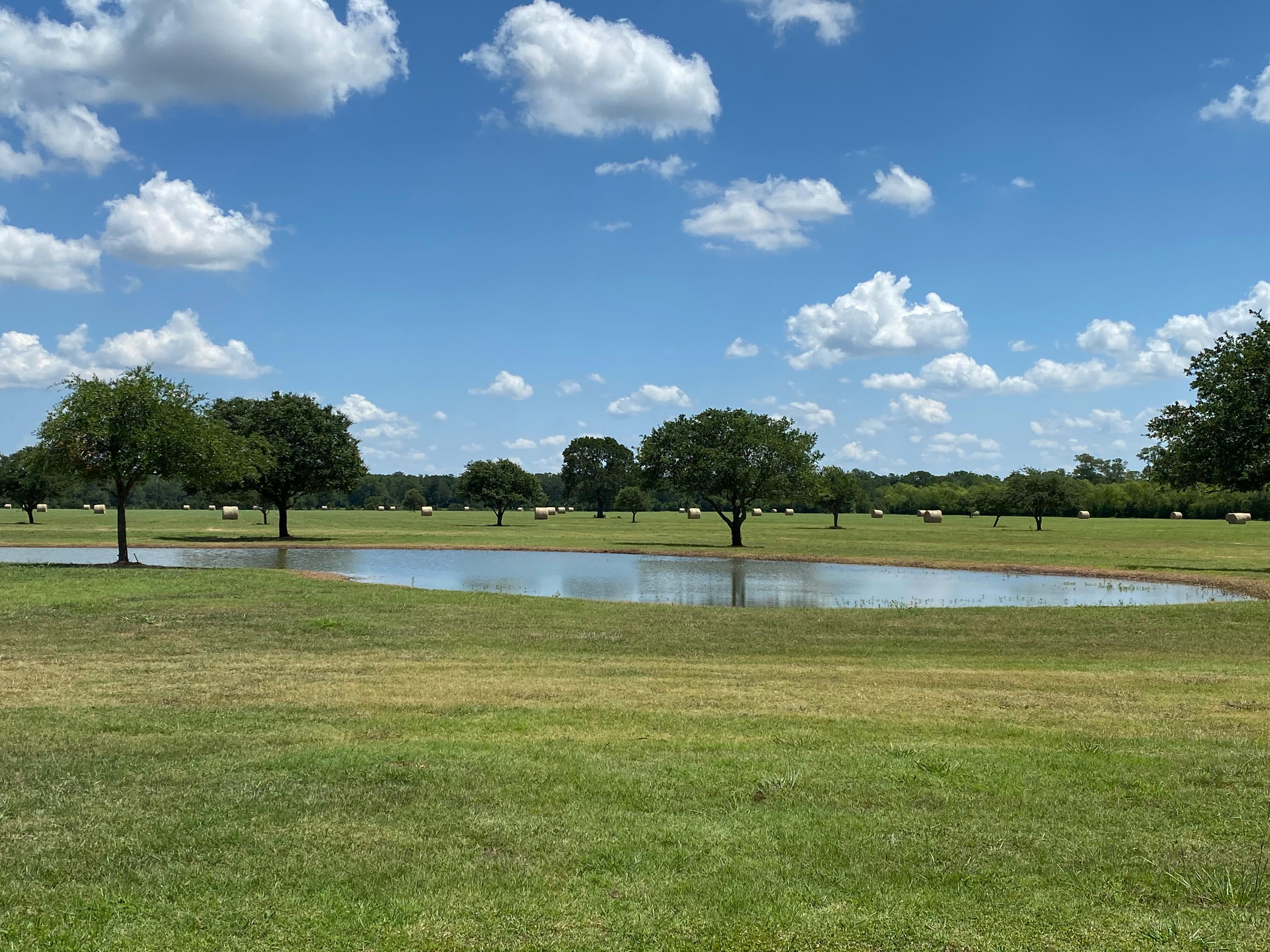 Wharton, Wharton County, TX Farms and Ranches, Horse Property for sale