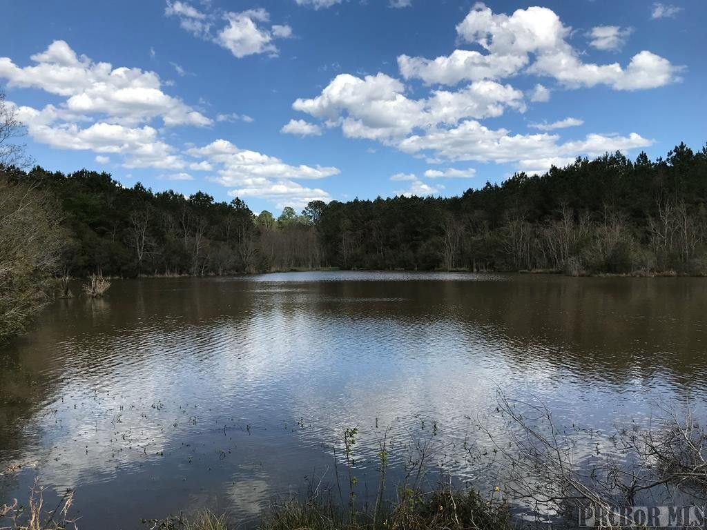 Carriere, Pearl River County, MS Undeveloped Land, Lakefront Property