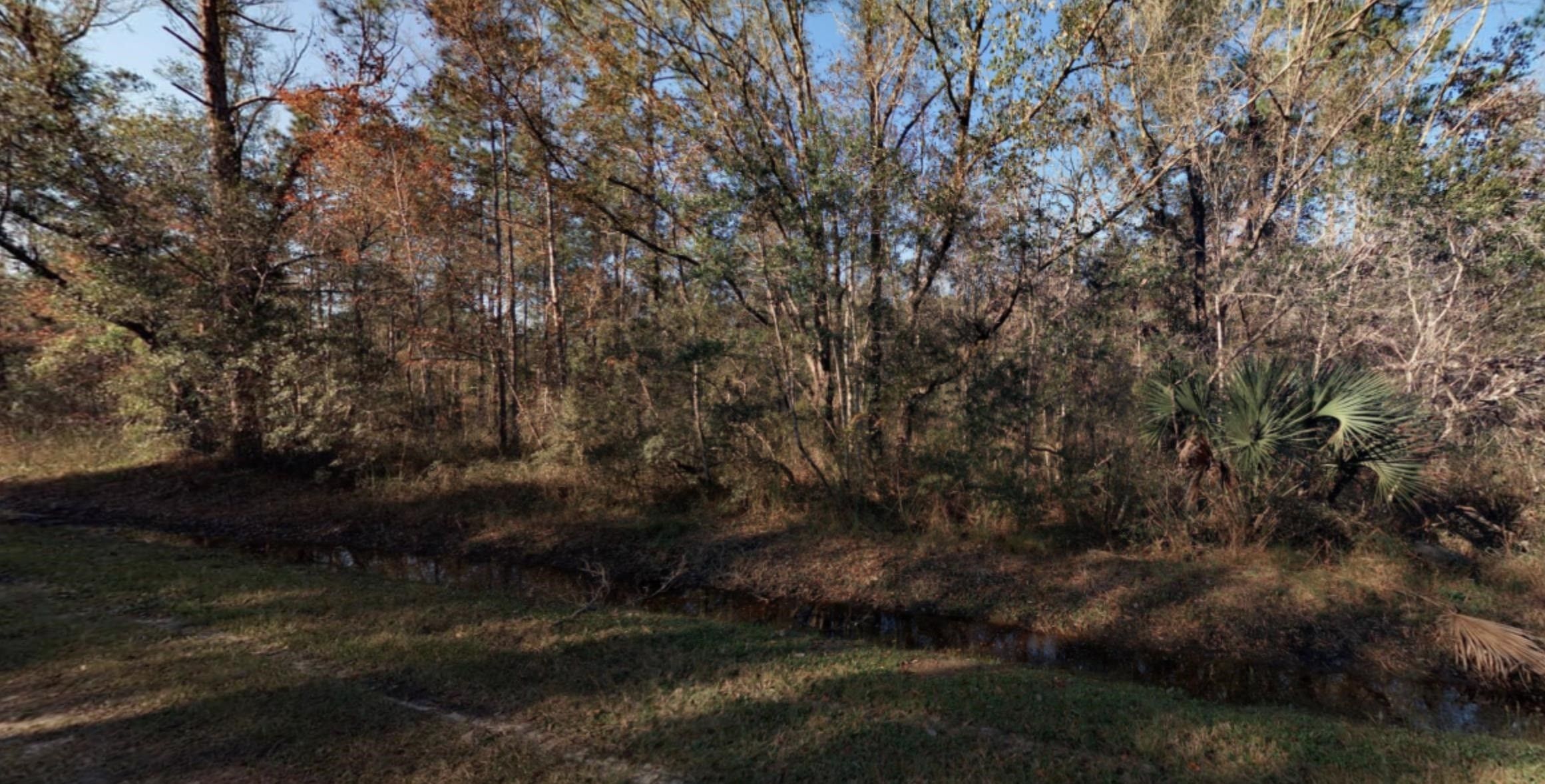 Hastings, Saint Johns County, FL Undeveloped Land, Homesites for sale