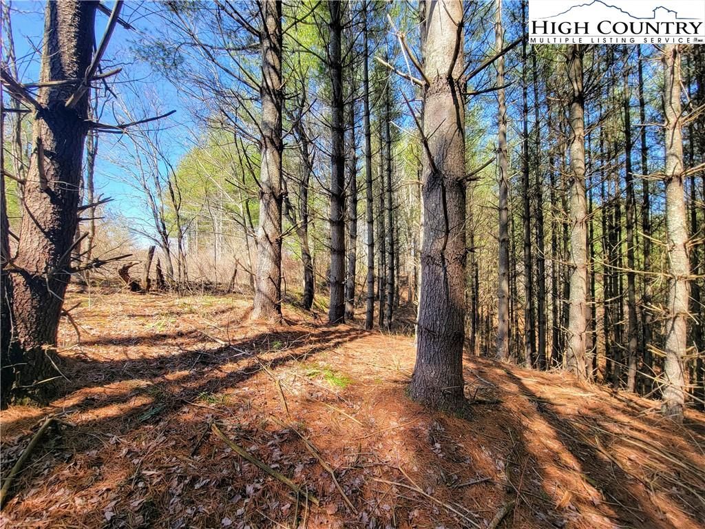 Crumpler, Haywood County, NC Undeveloped Land, Homesites for sale